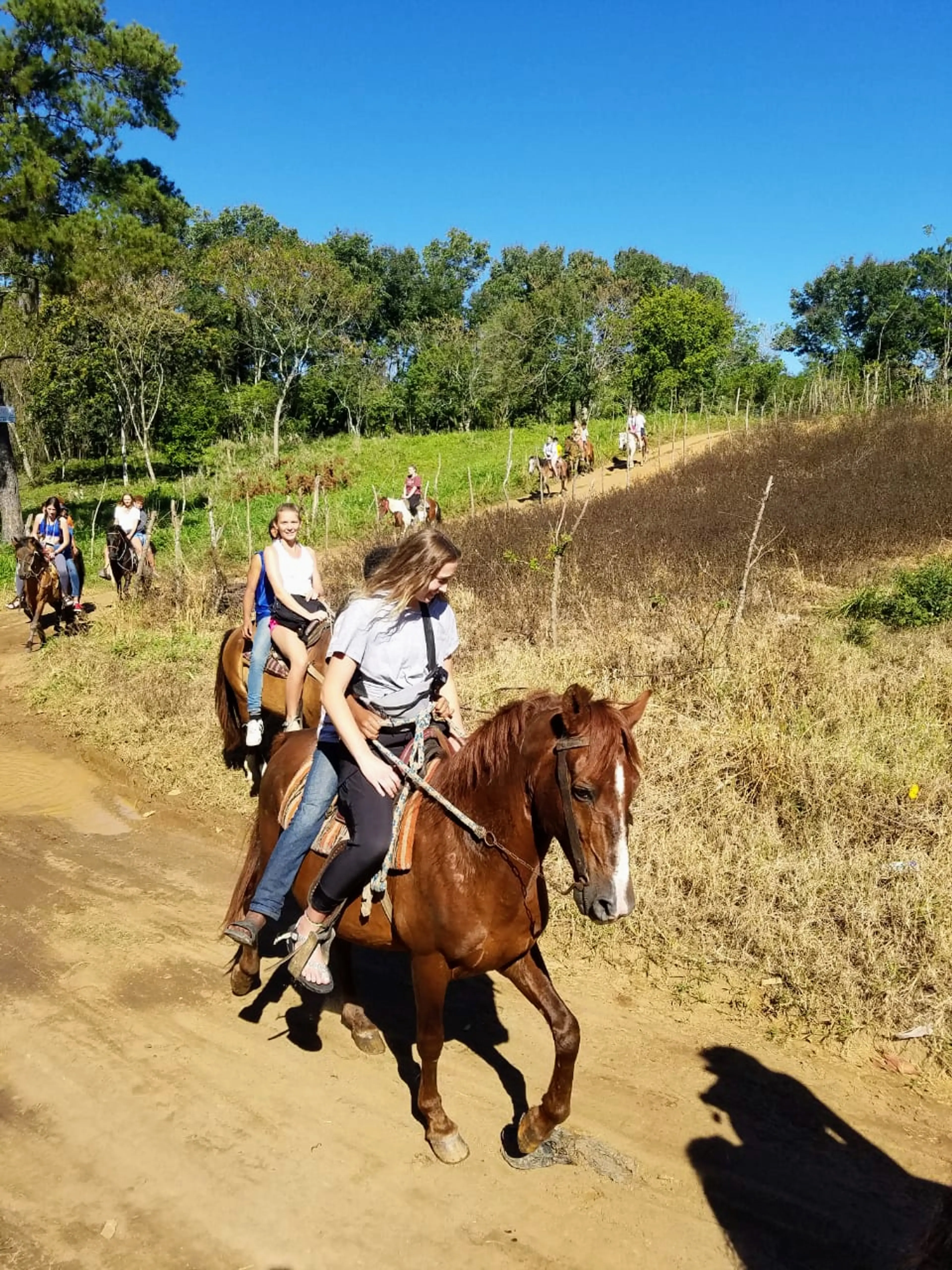 Horseback Riding Tour