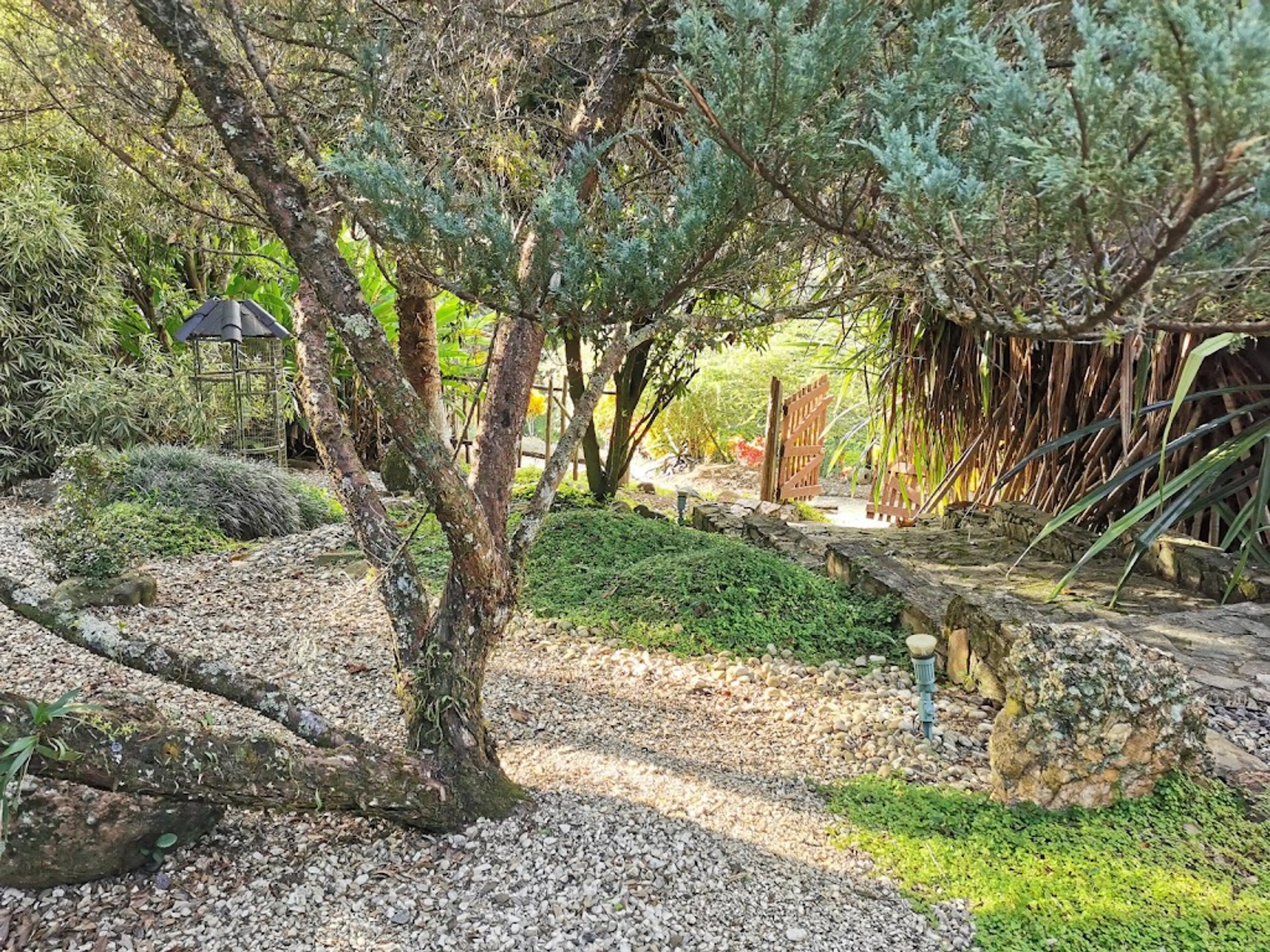 Jardin Botanico
