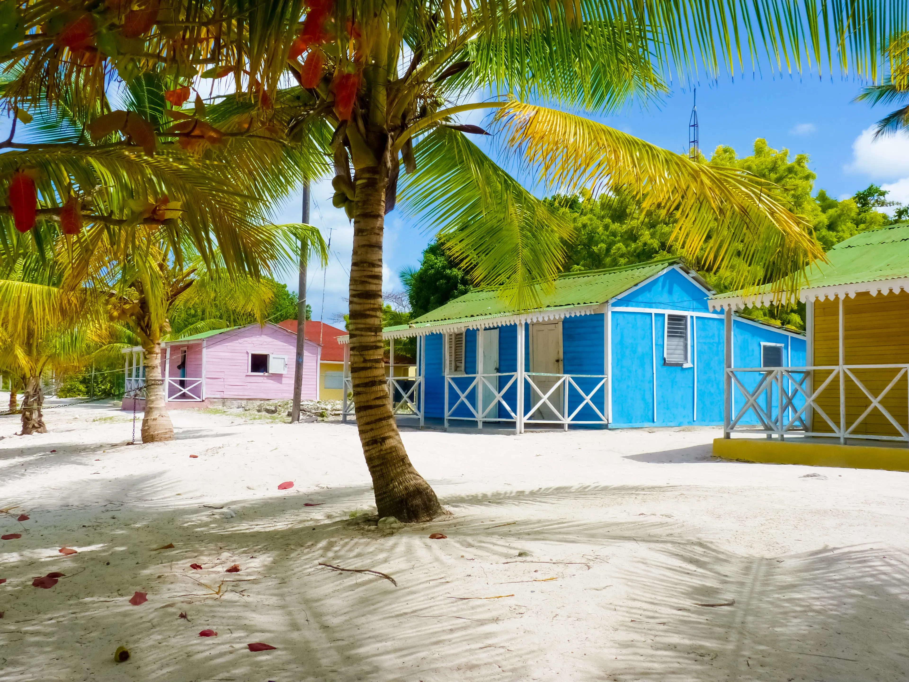 Local Village on Saona Island