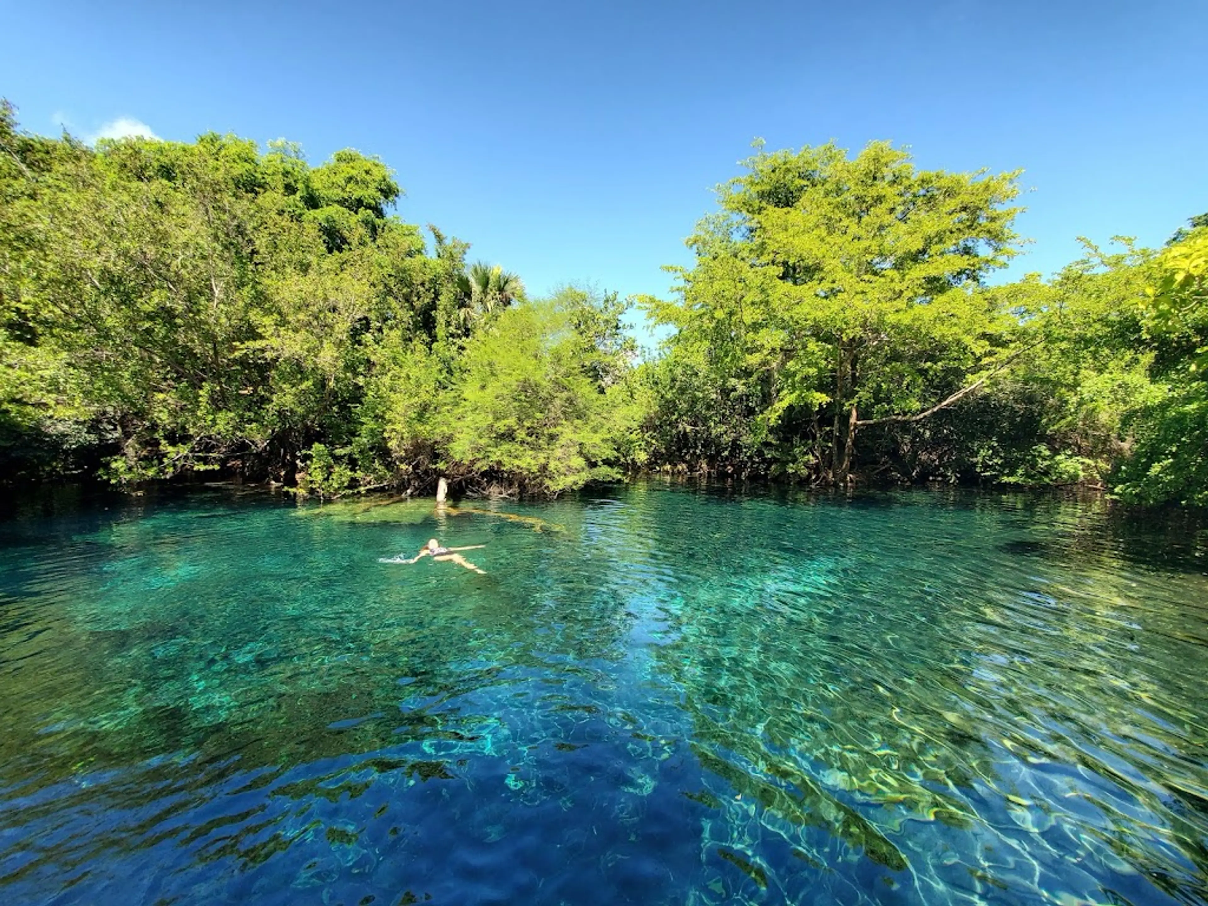 Indigenous Eyes Ecological Park and Reserve