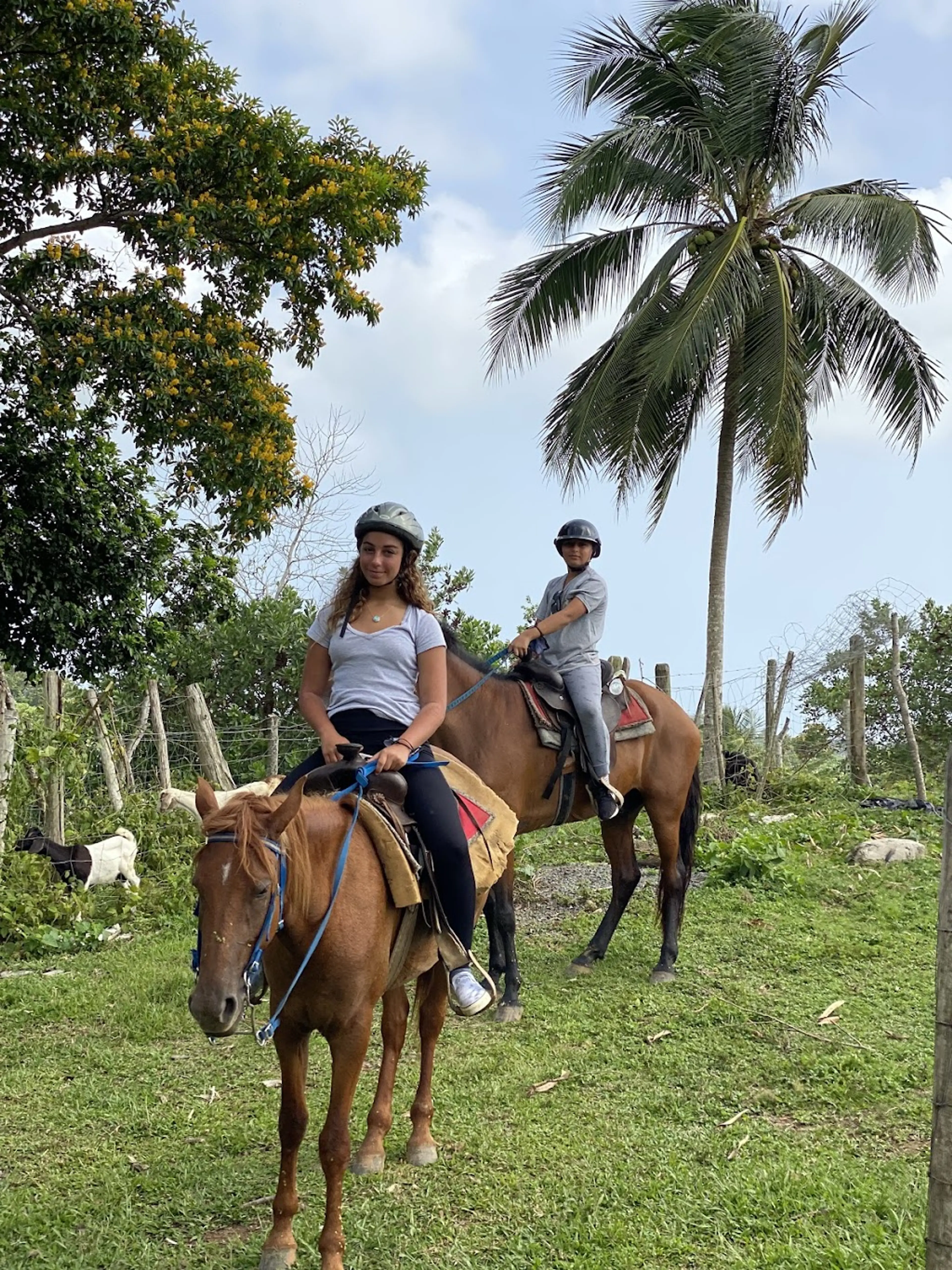 Moonlit horseback ride