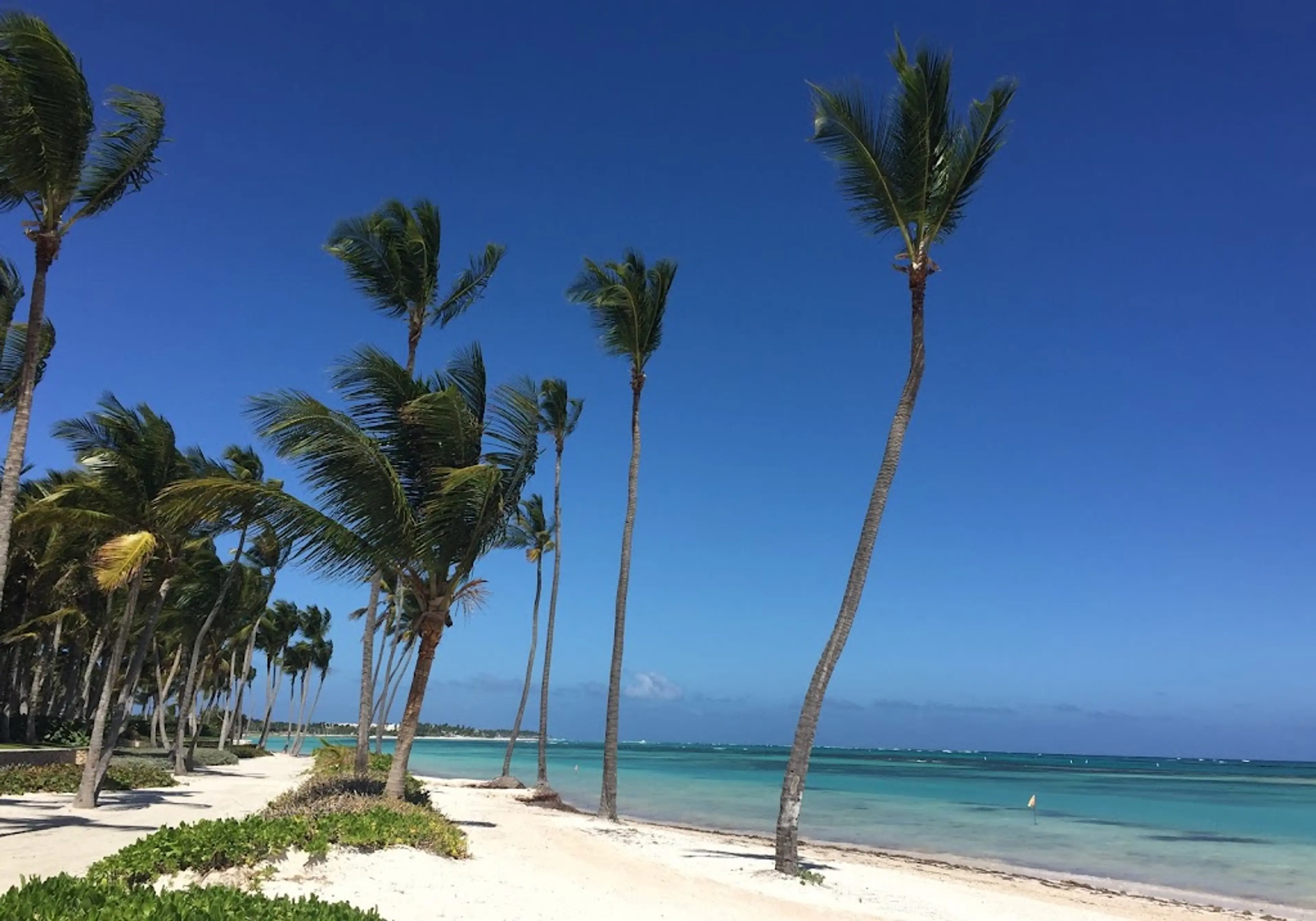 Secluded Beach