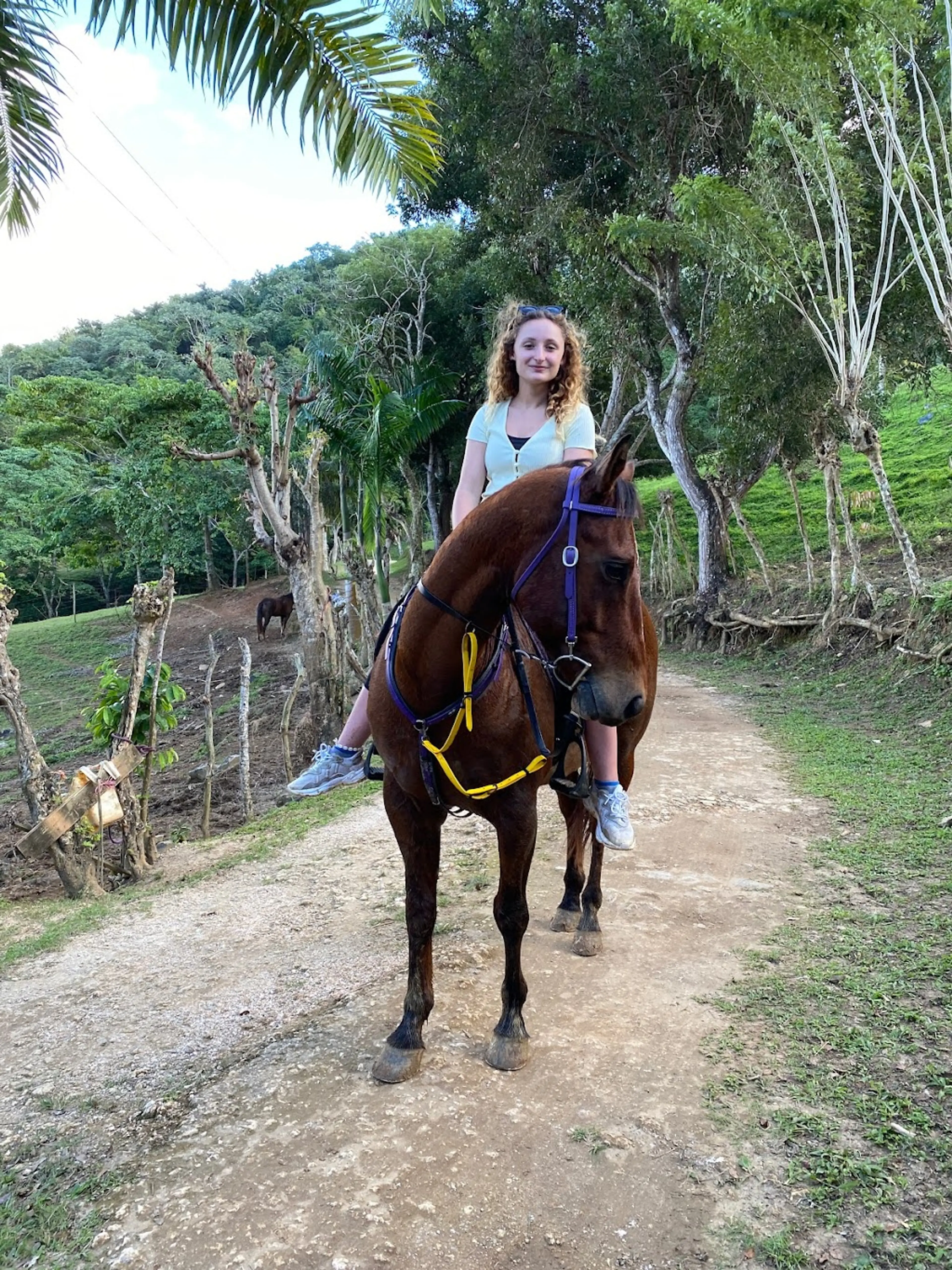 Countryside Horseback Ride