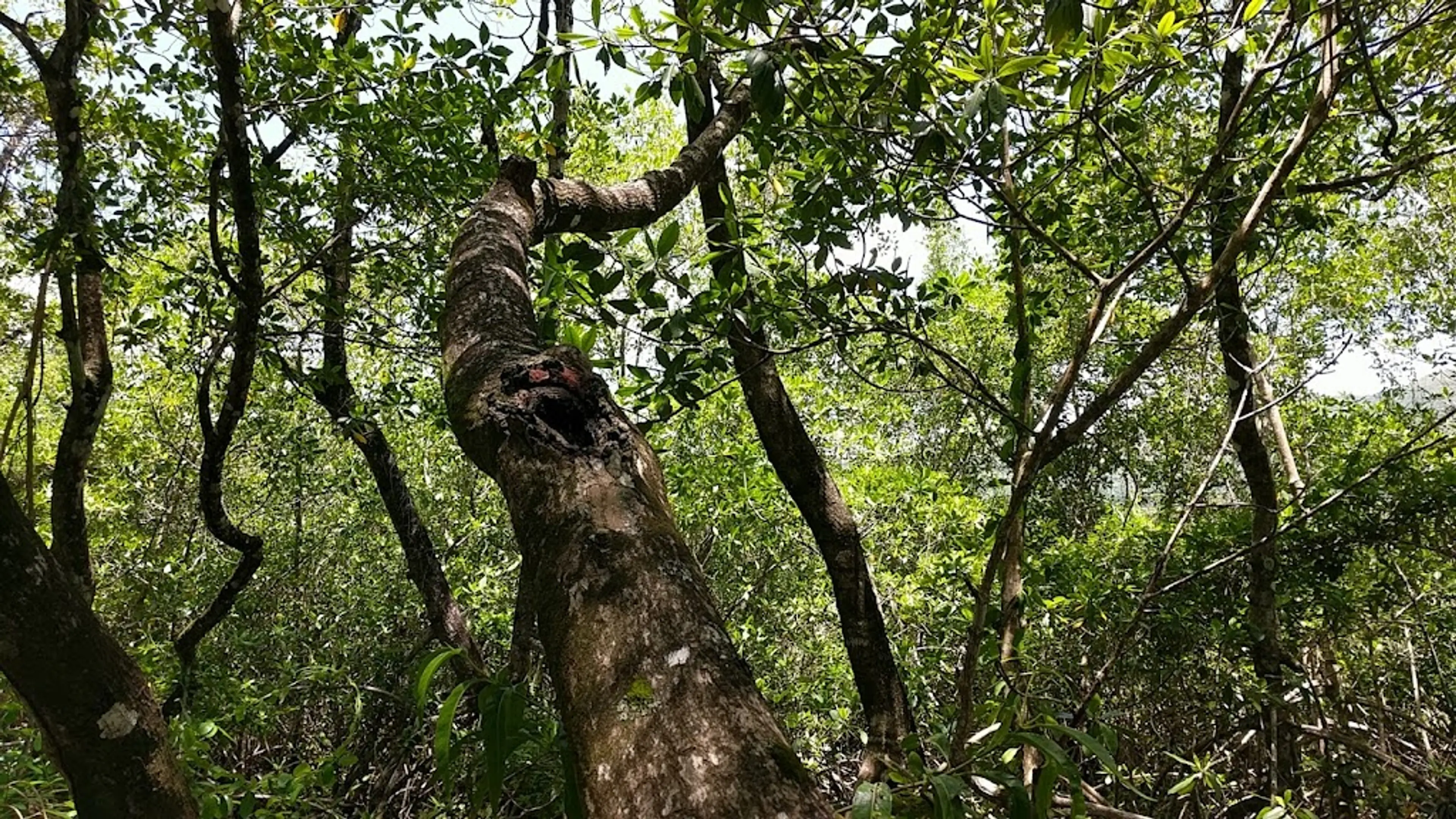 Los Haitises National Park