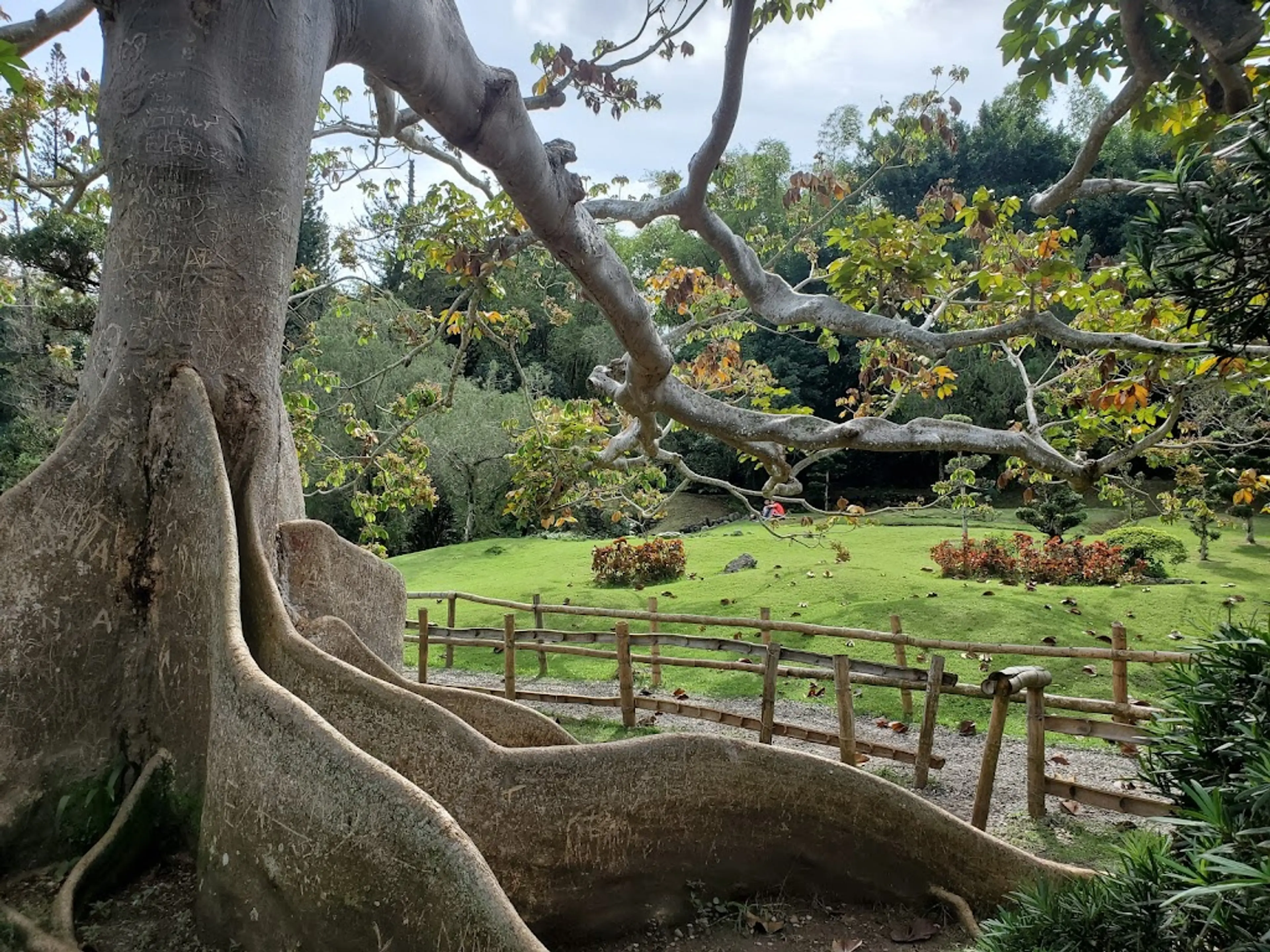 Jardin Botanico Nacional