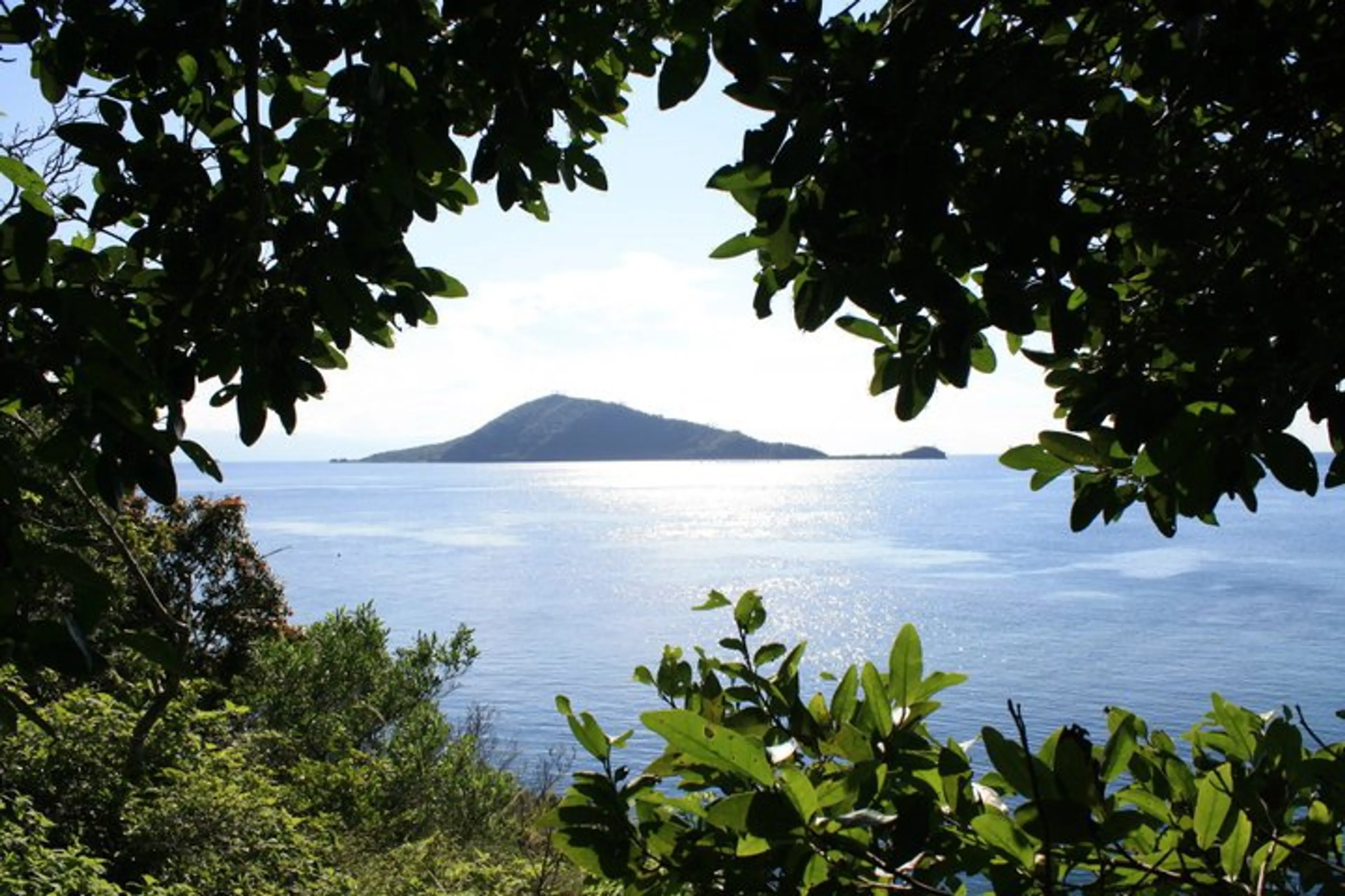 Hike in the tropical forest