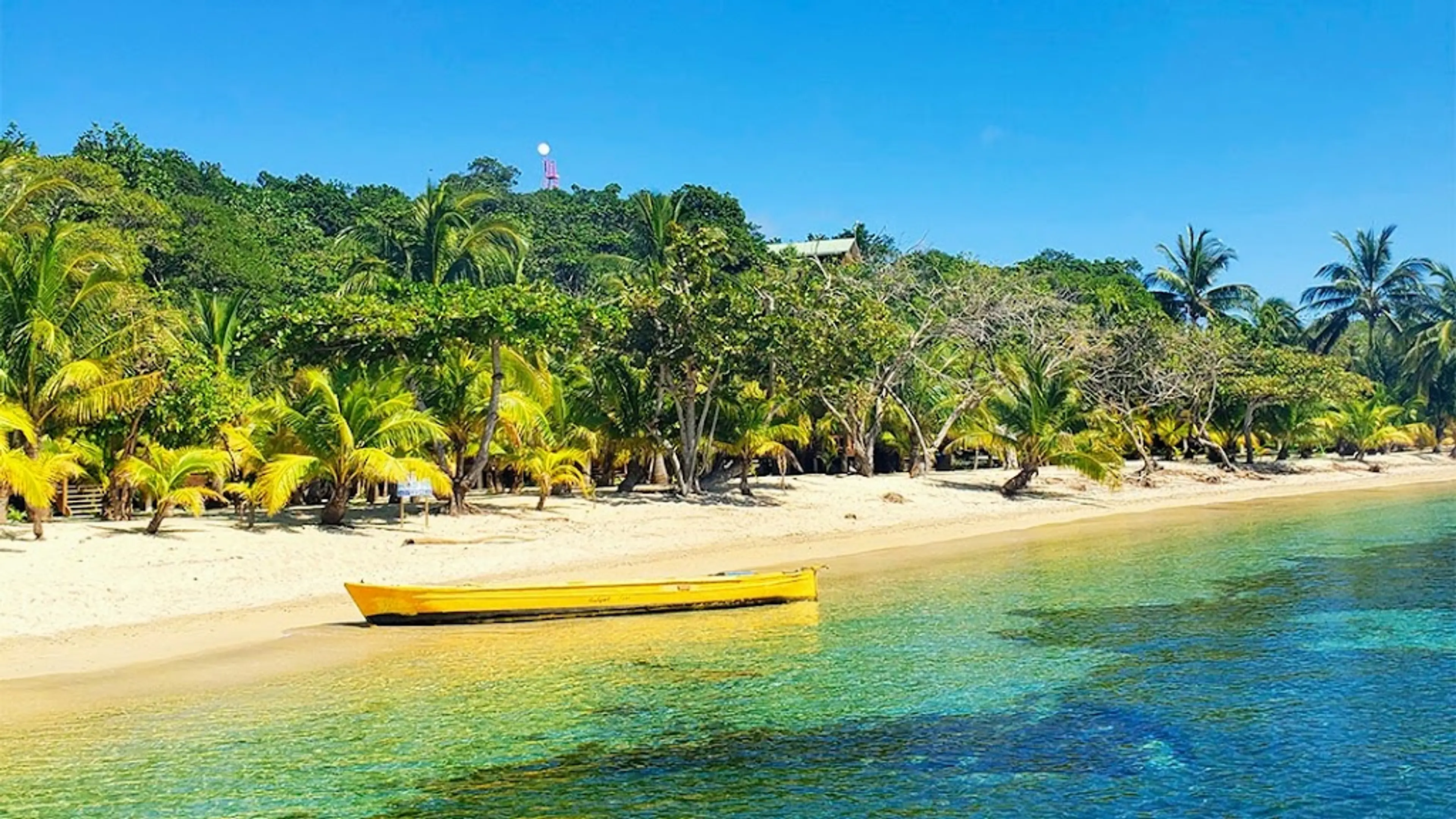 Boat tour around the islands