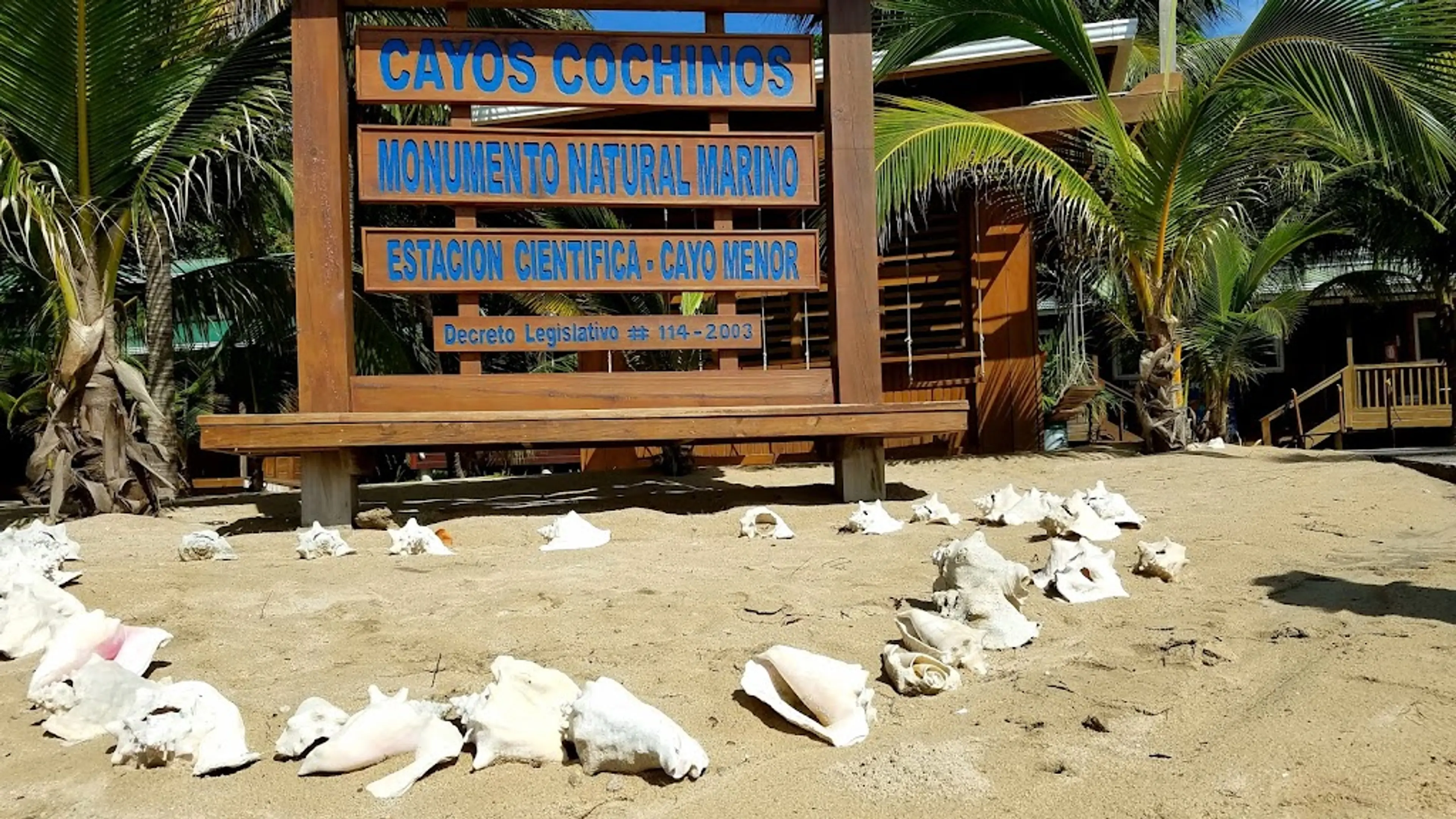Tropical forests of Cayos Cochinos