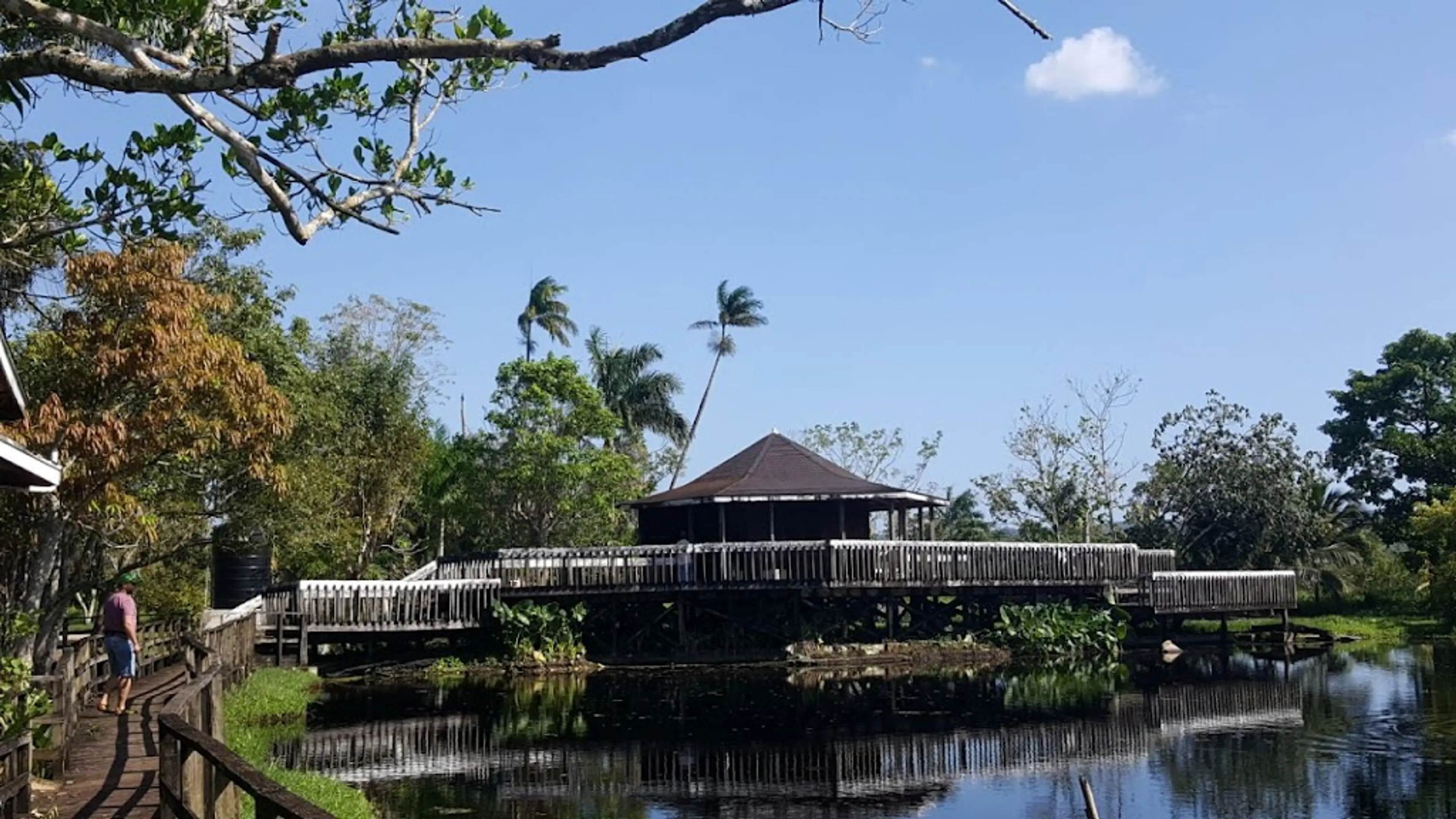 Royal Palm Reserve