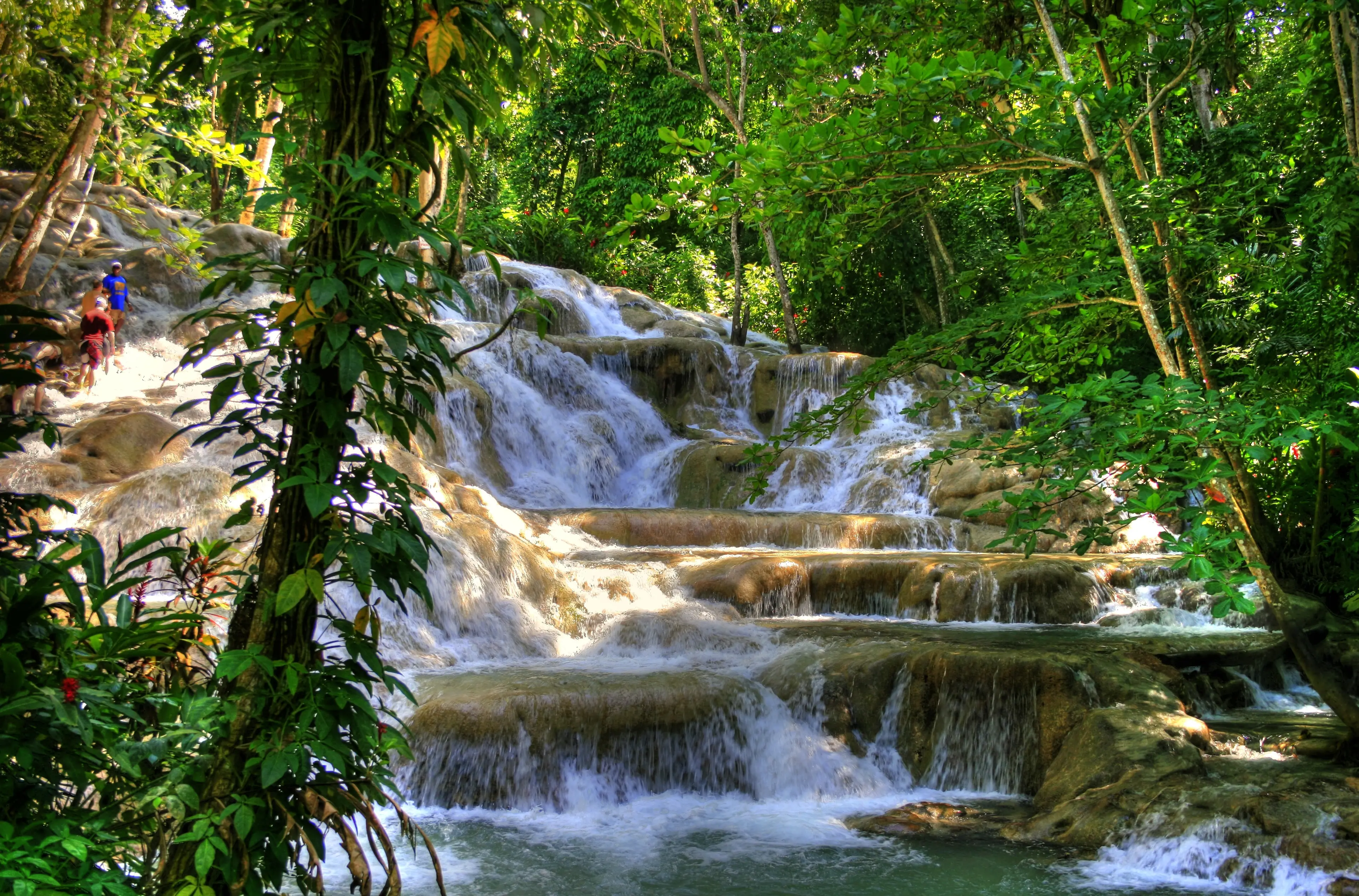 Dunn's River Falls