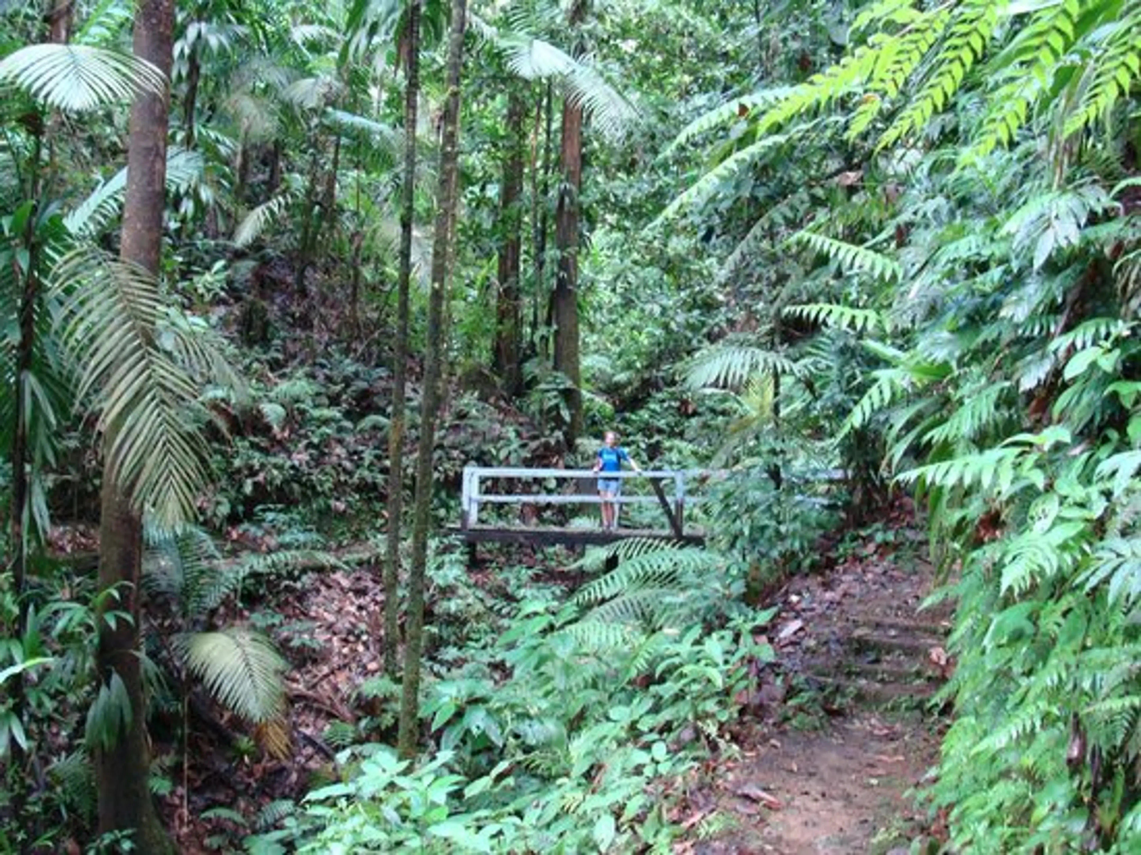 Hiking trail