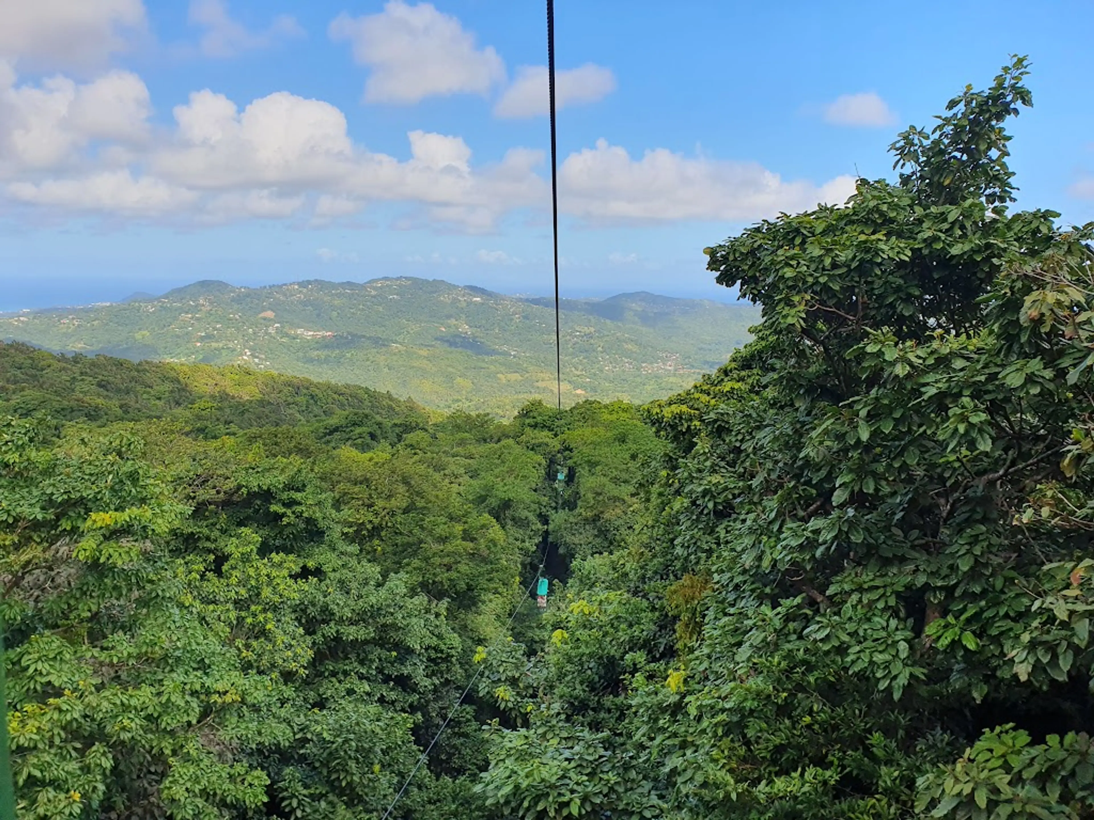 Saint Lucia Rainforest