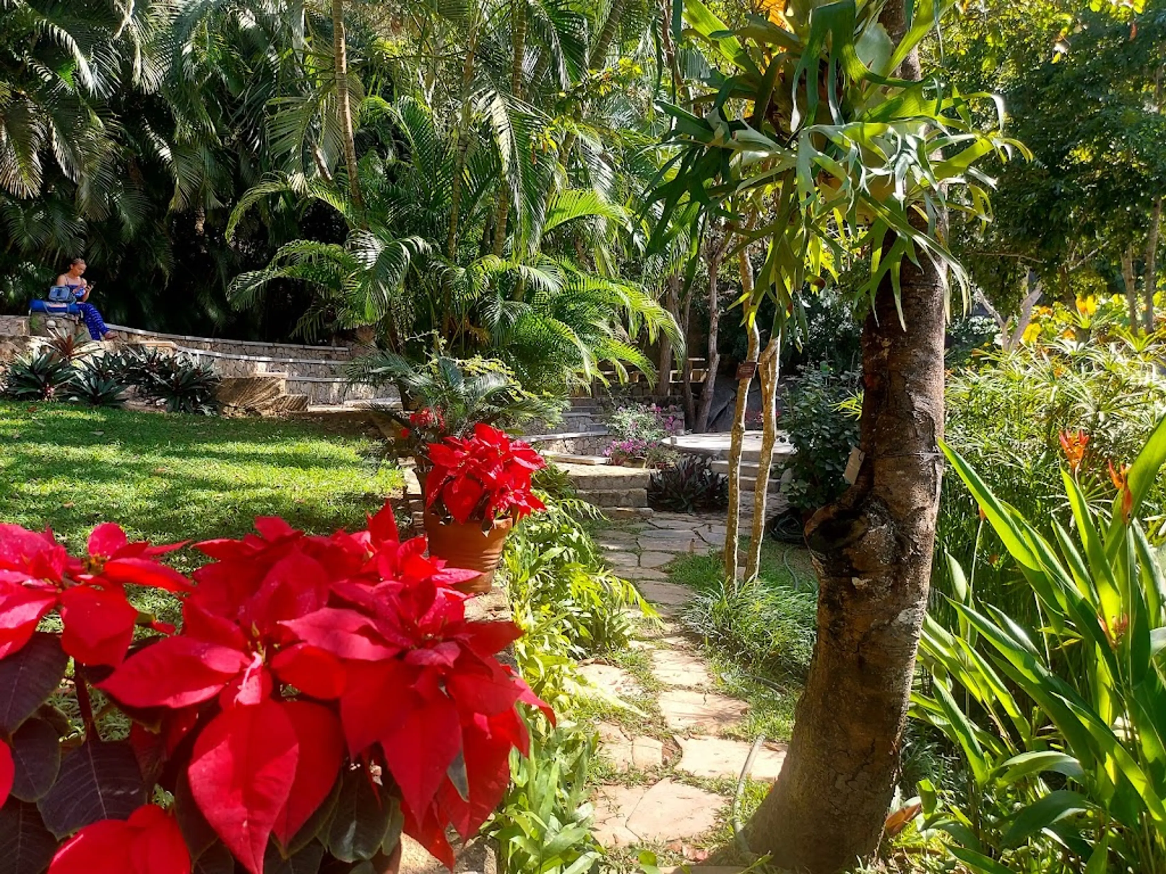 Botanical Garden of Acapulco