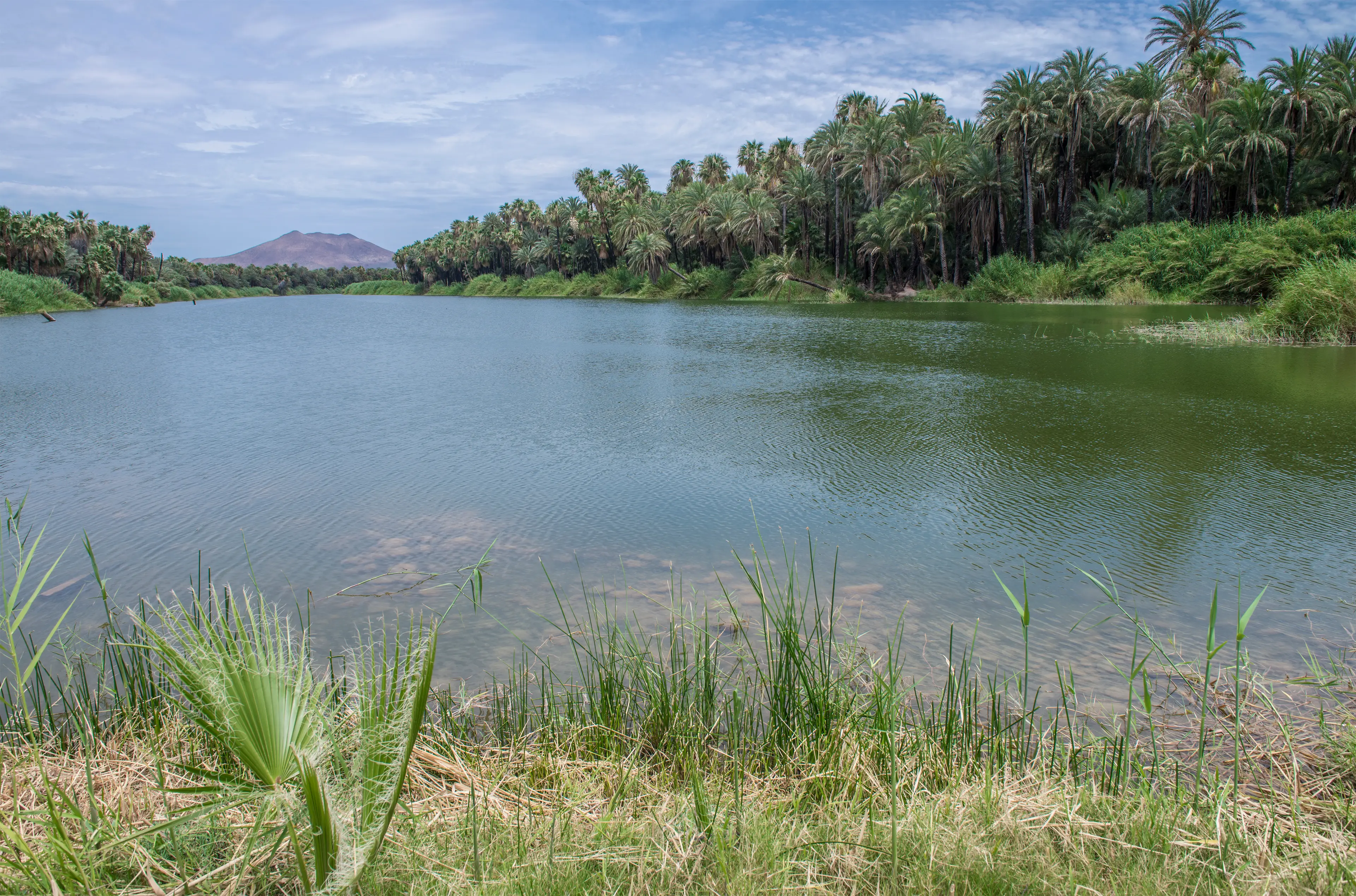 San Ignacio Springs