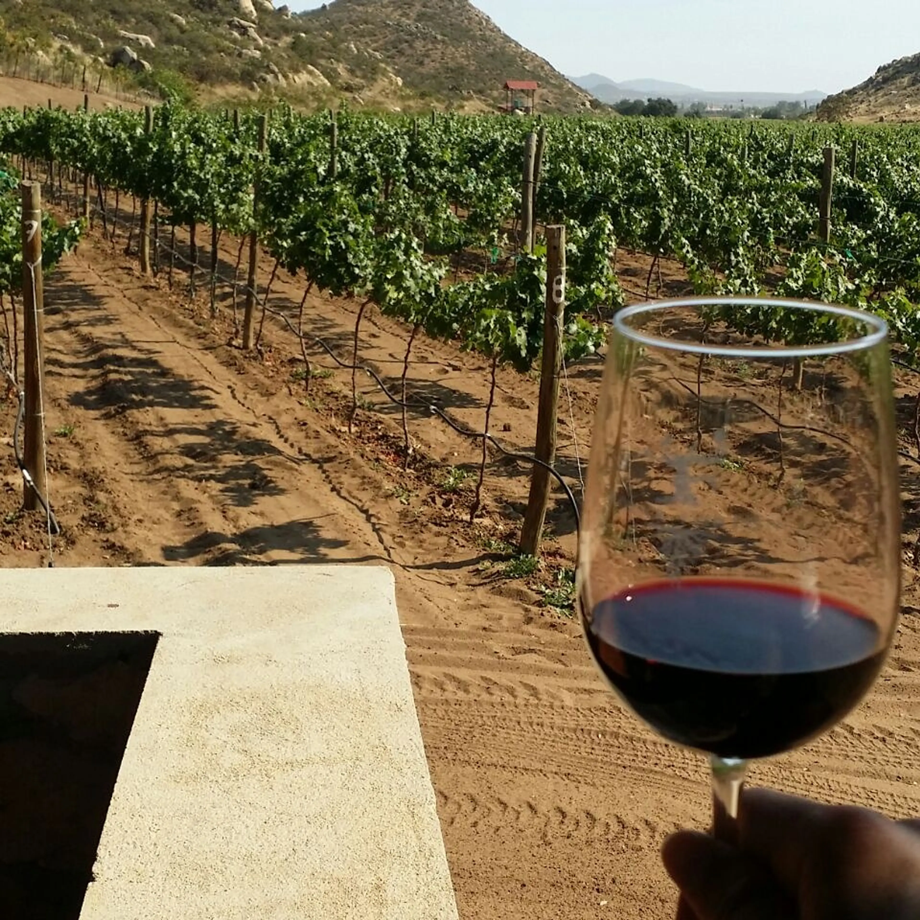 Guadalupe Valley Winery