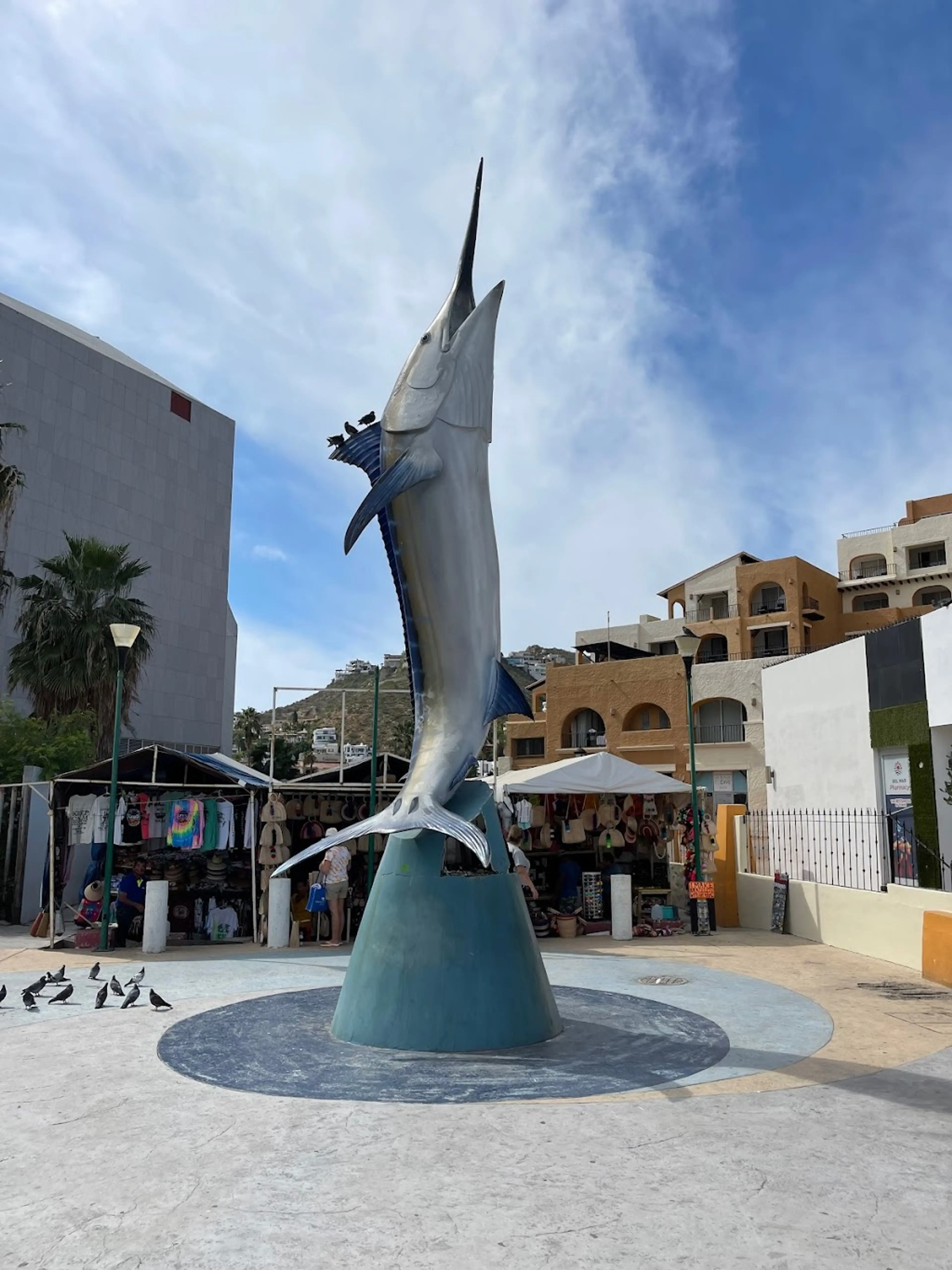 Marina in Cabo San Lucas