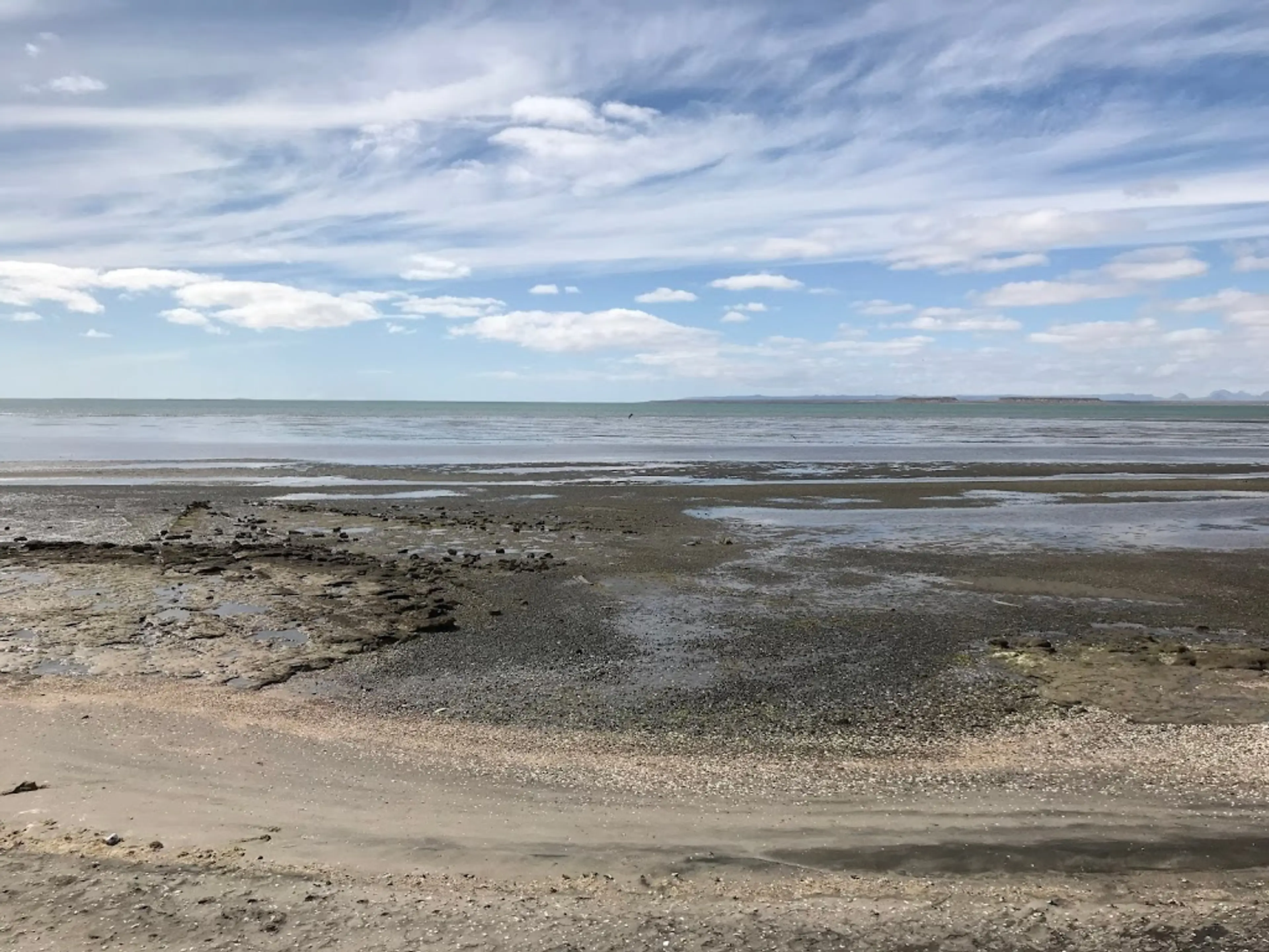 San Ignacio Lagoon