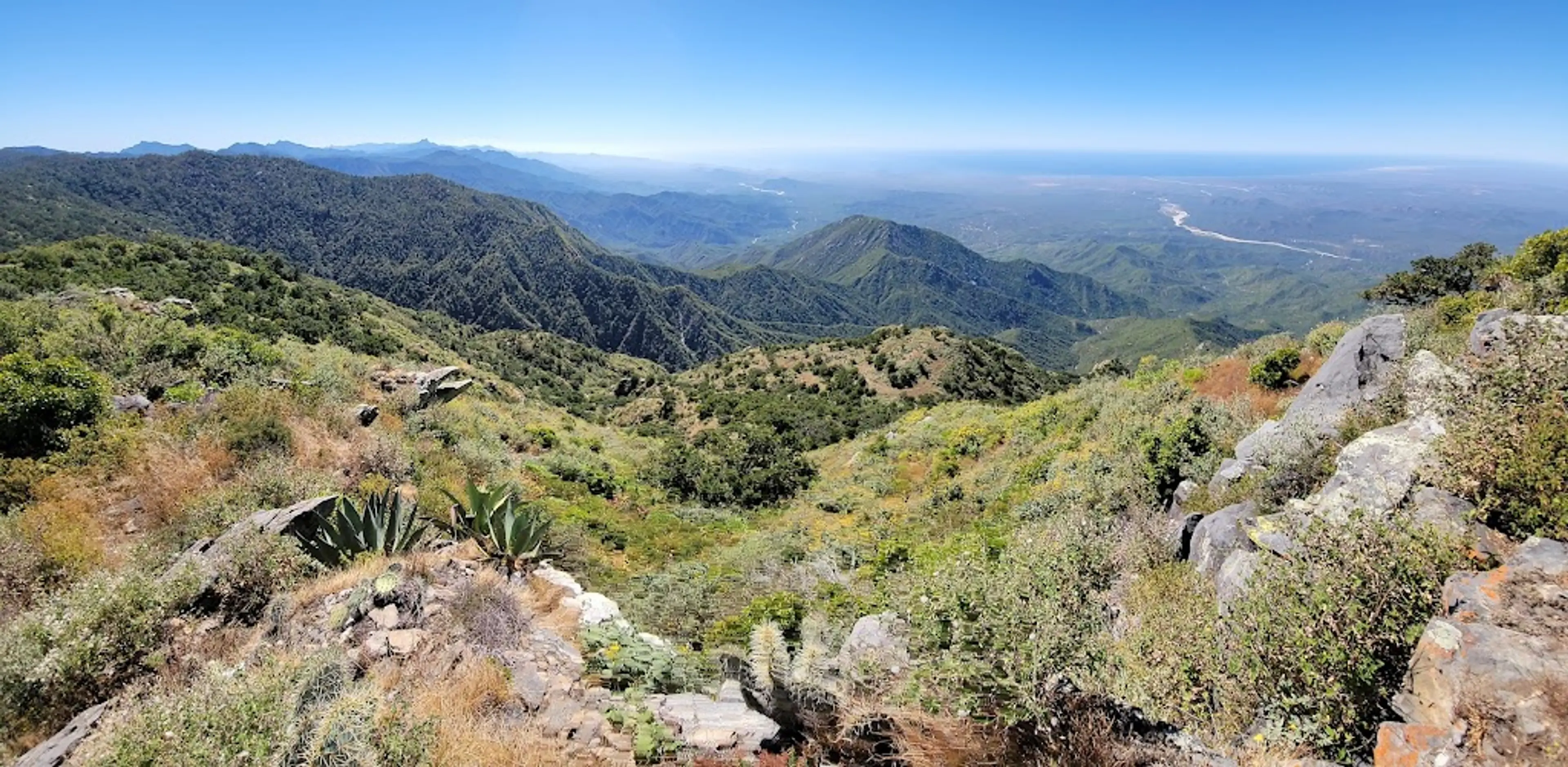 Sierra de la Laguna Biosphere Reserve