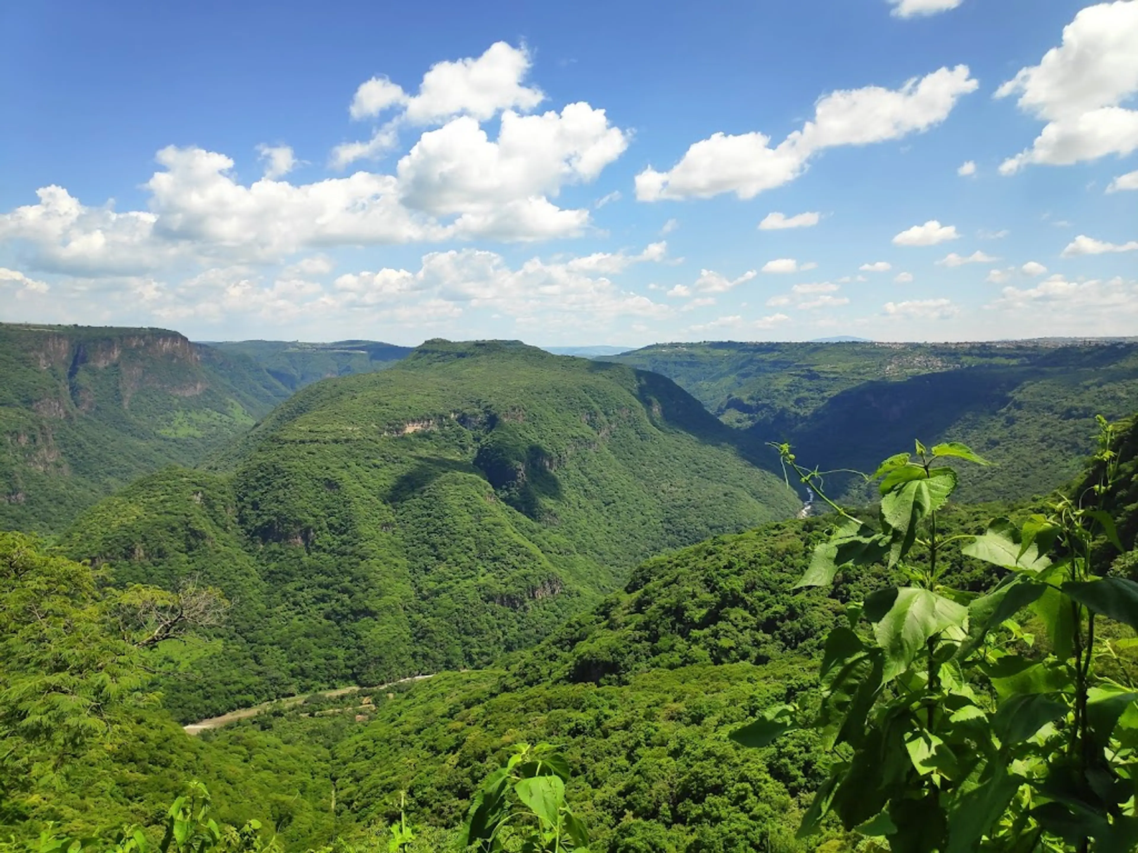 Barranca de Huentitán