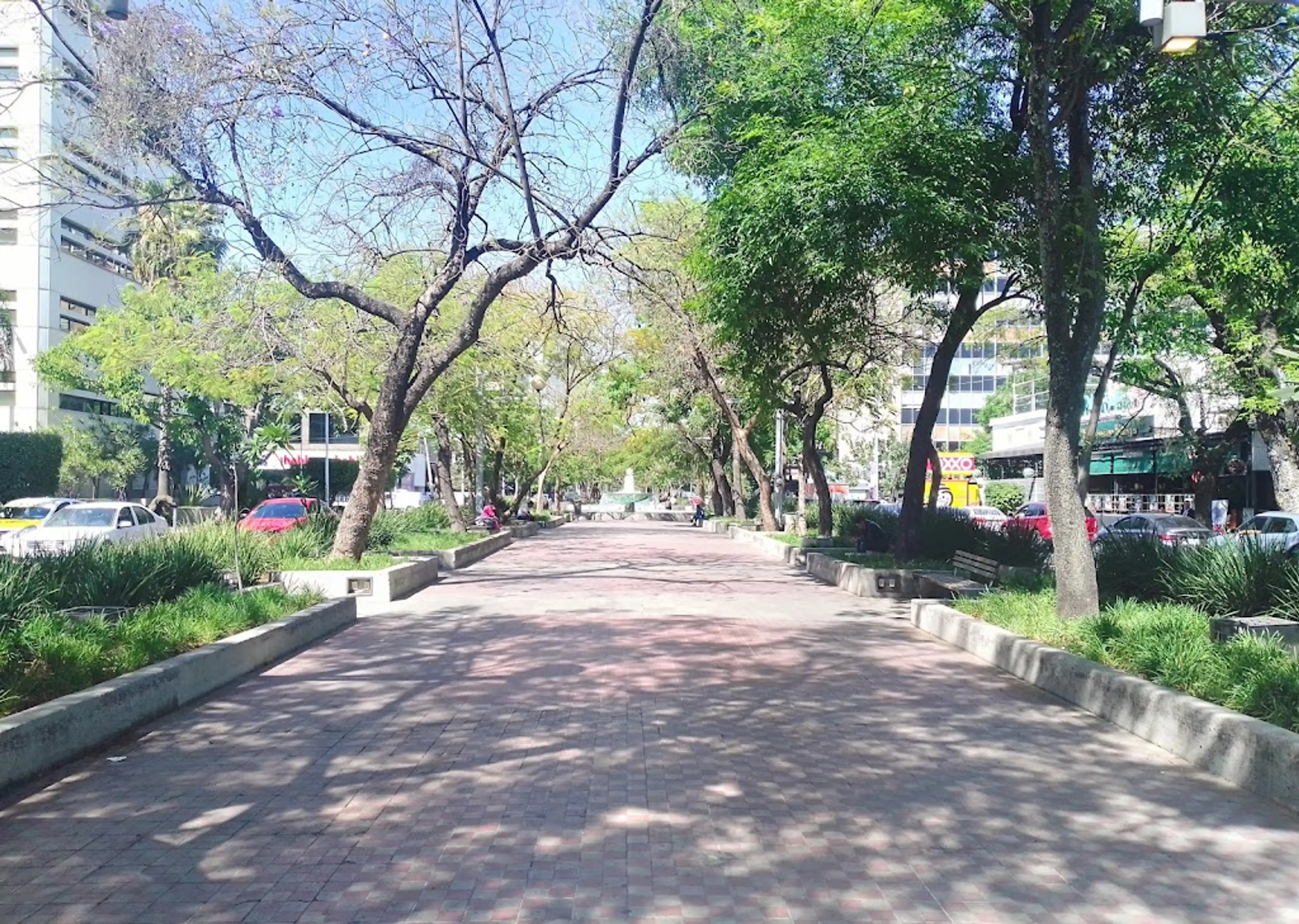 Chapultepec Avenue