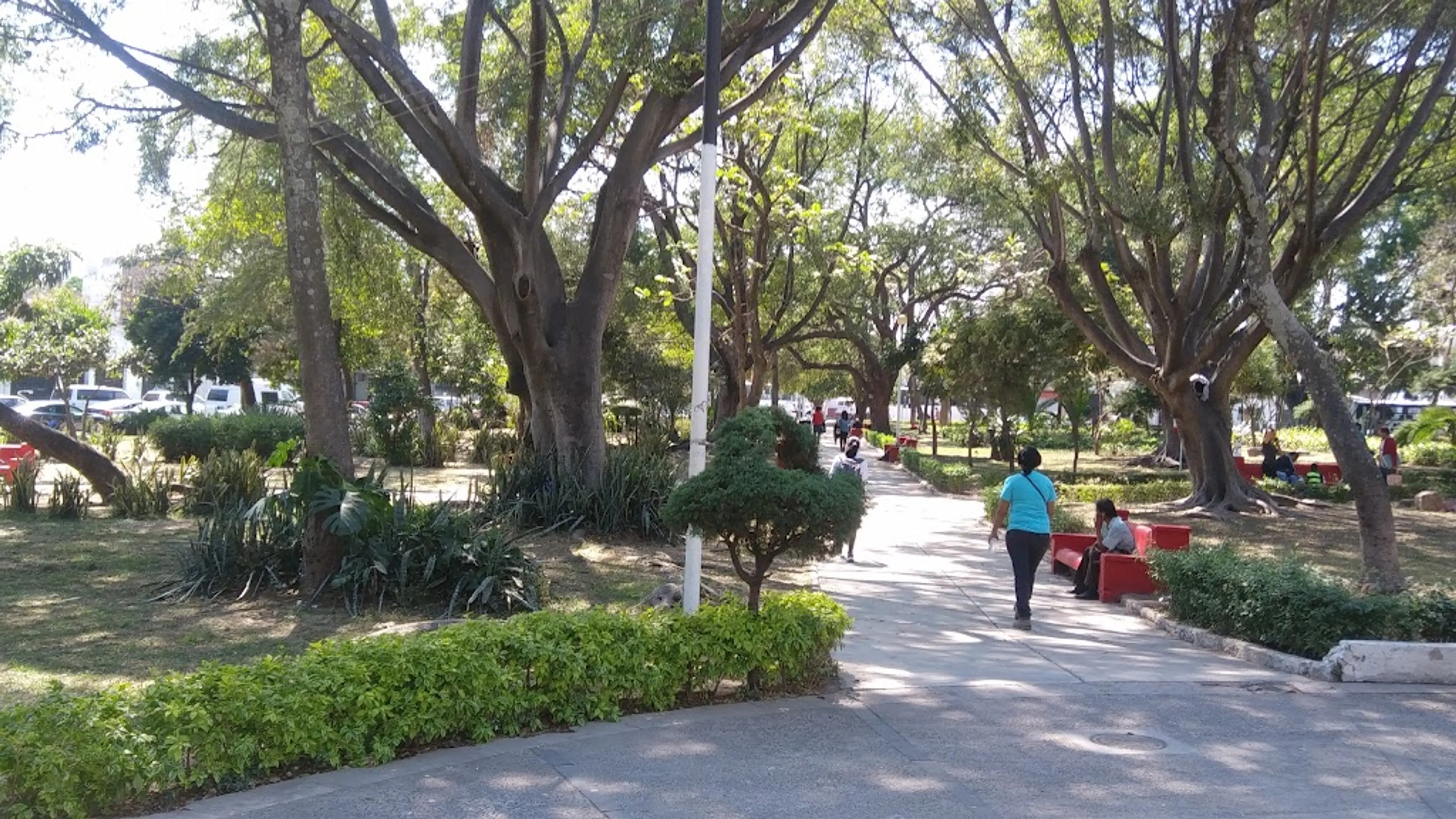 Guadalajara's Botanical Garden