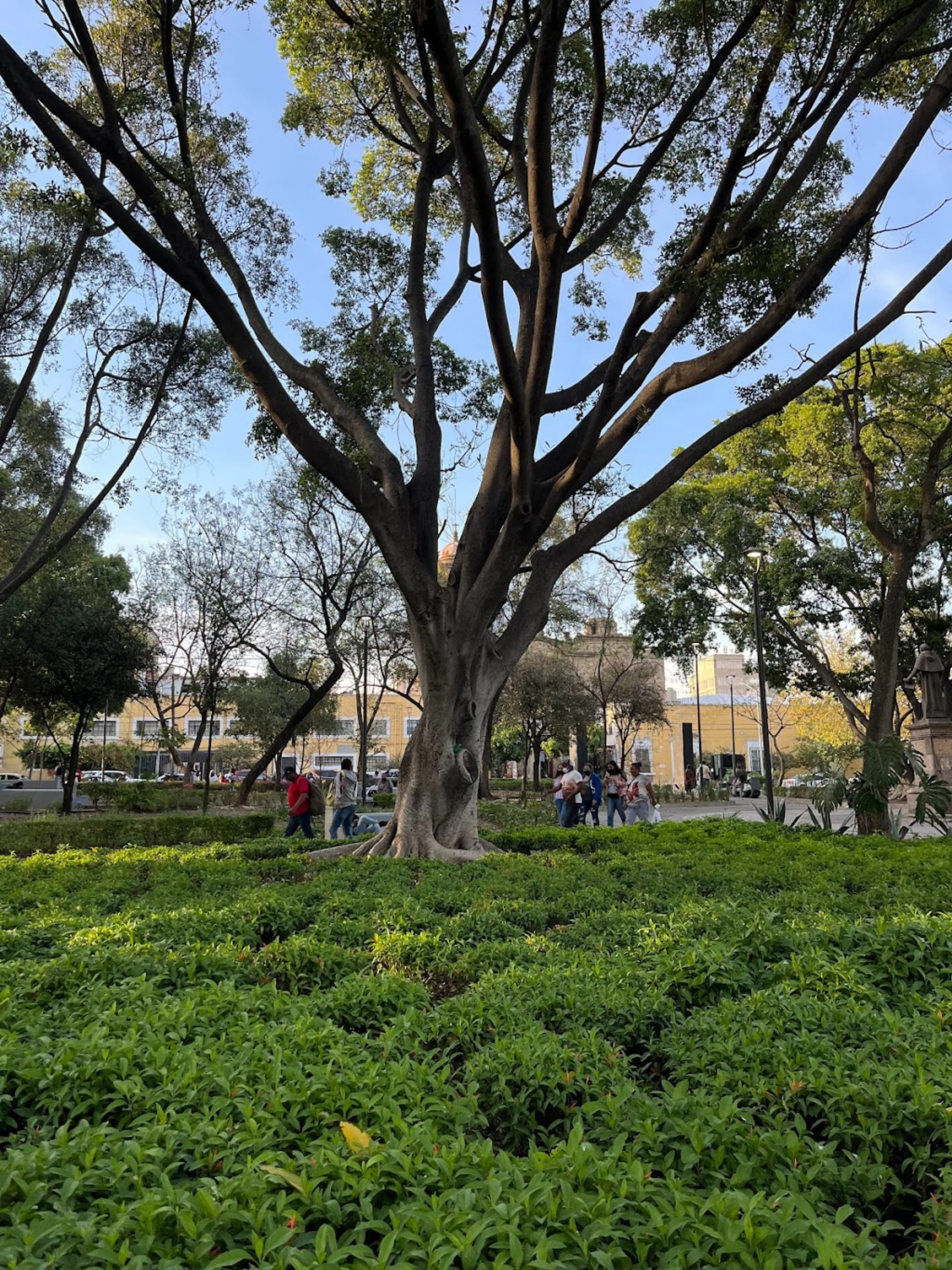 Jardin Botanico