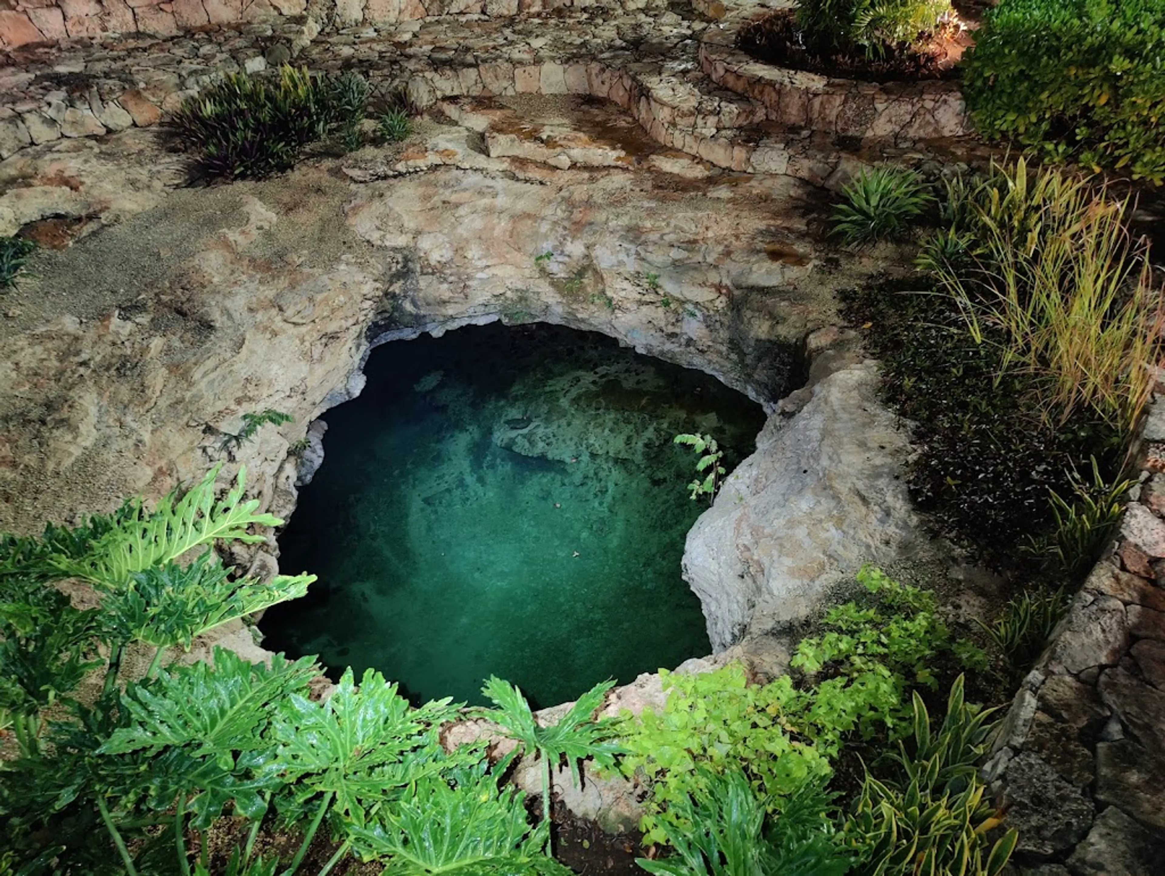 Cenotes