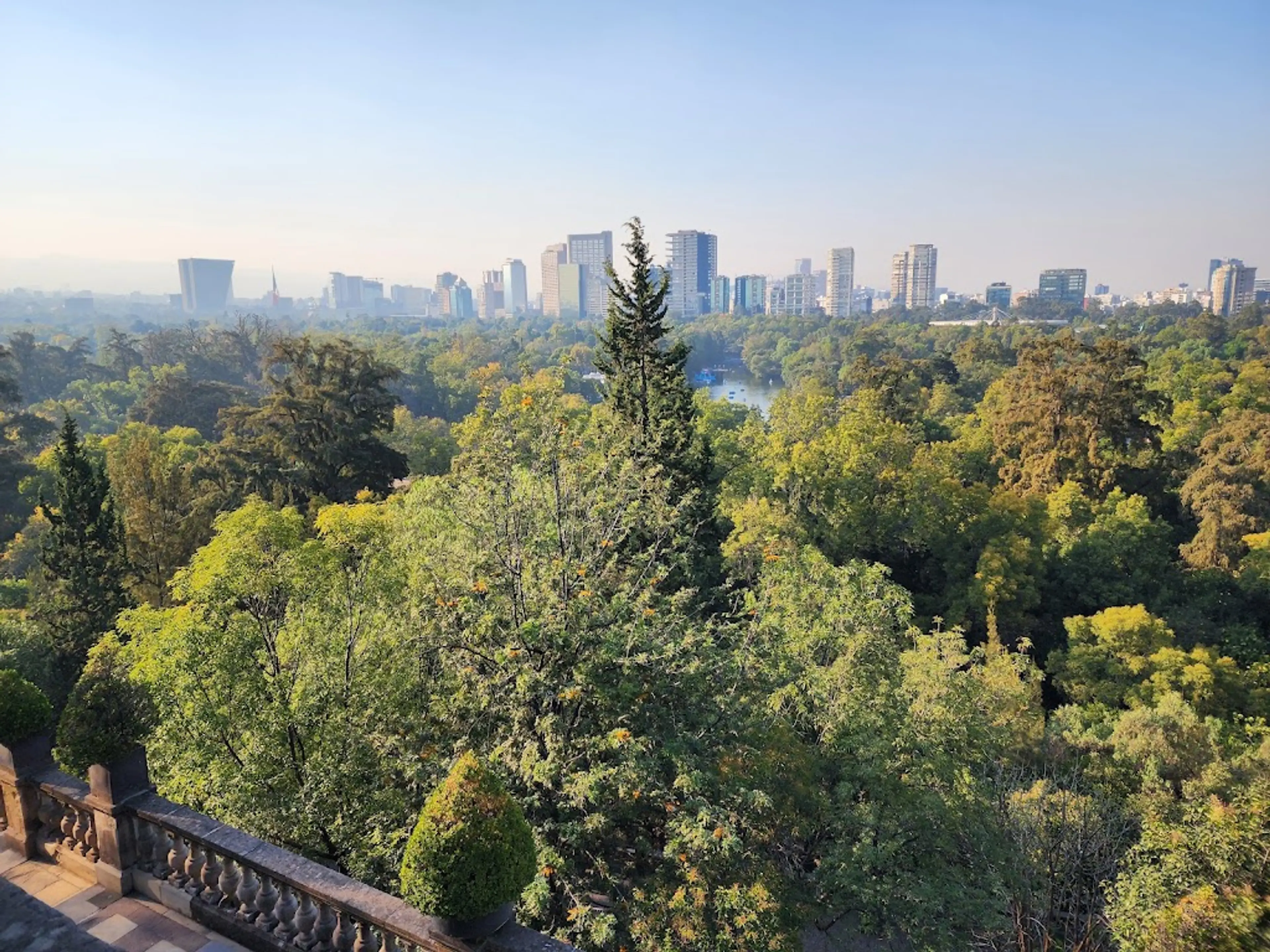 Chapultepec Forest