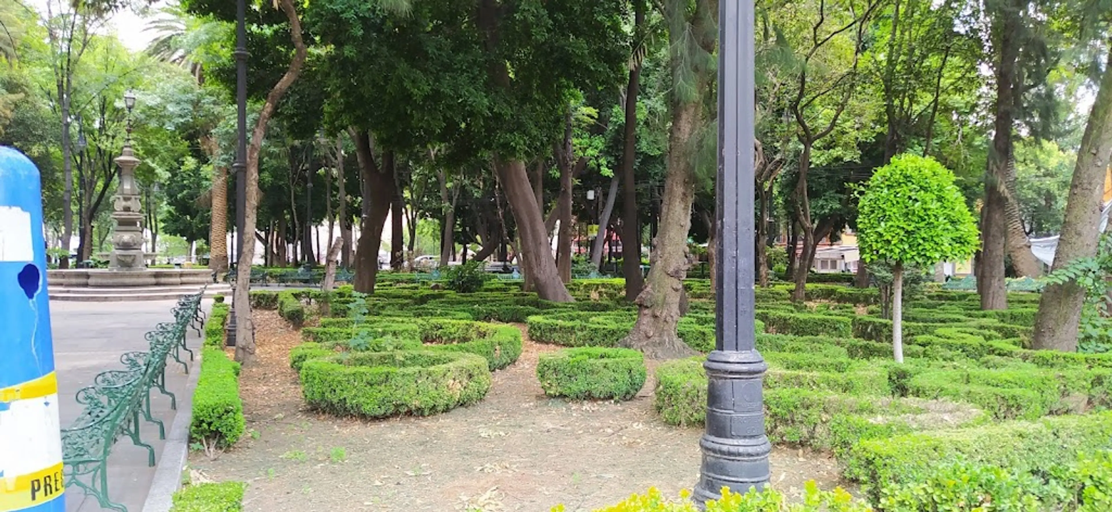 Jardin Centenario