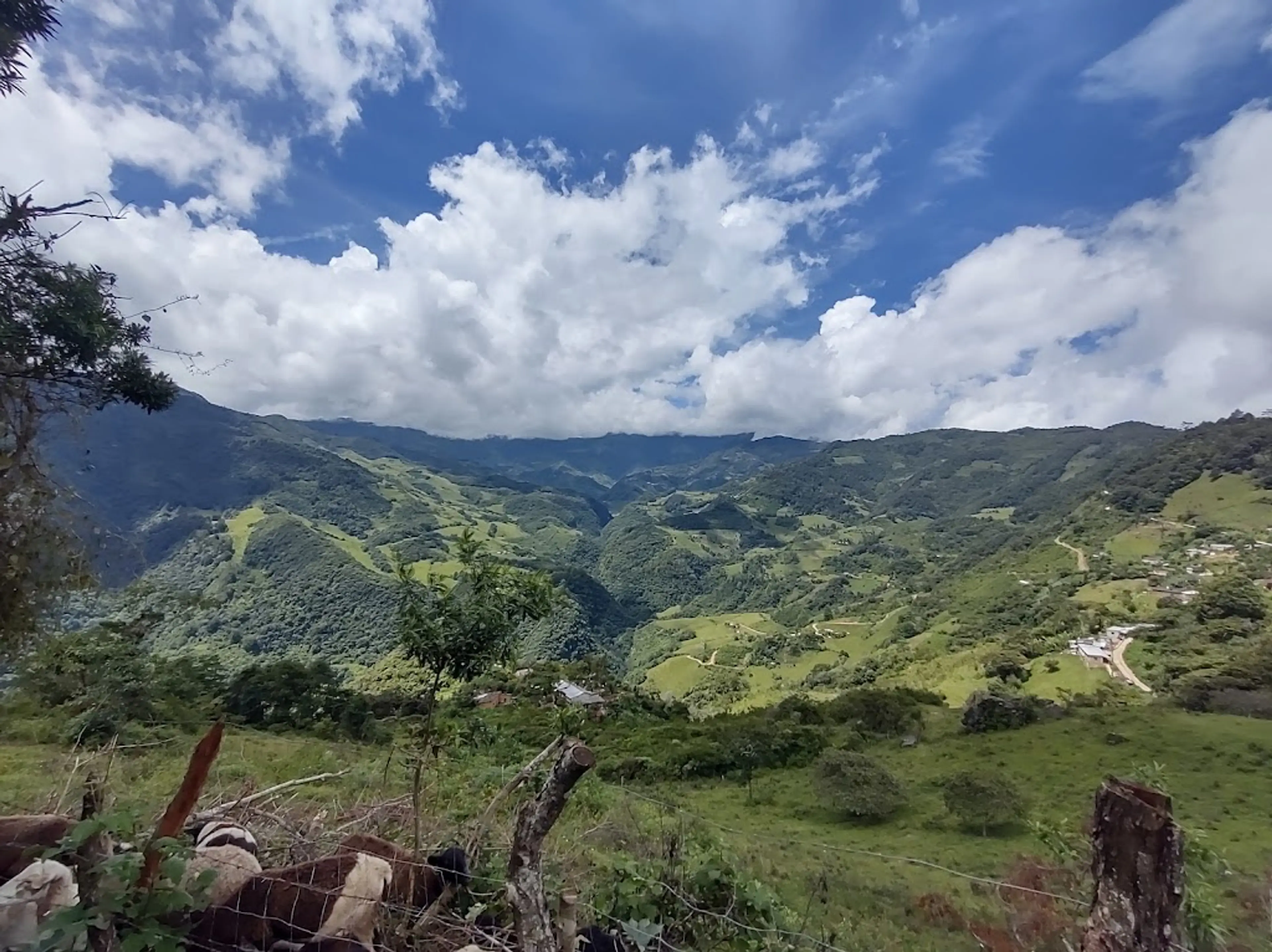 Oaxaca Mountains