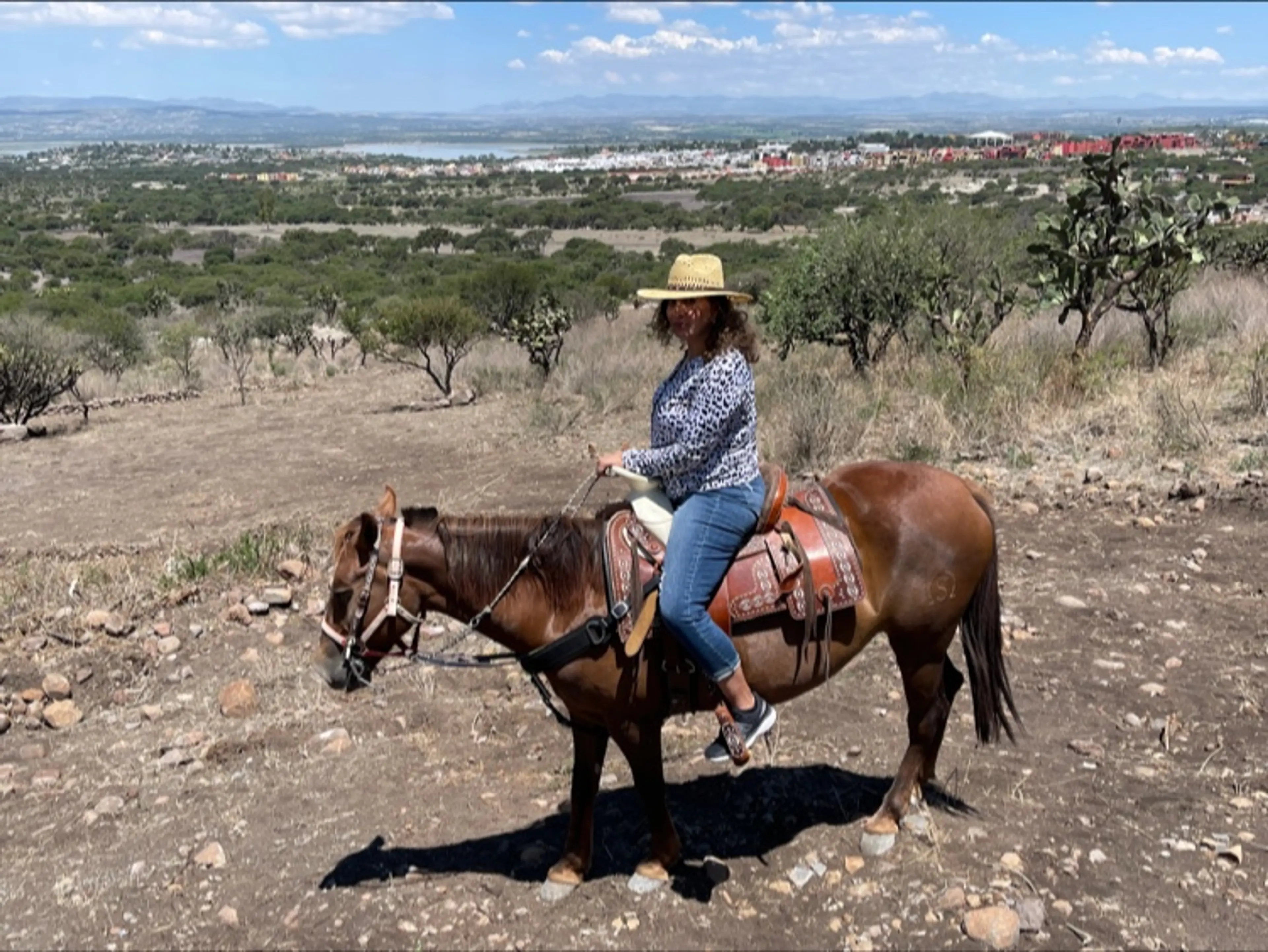 Horseback Riding