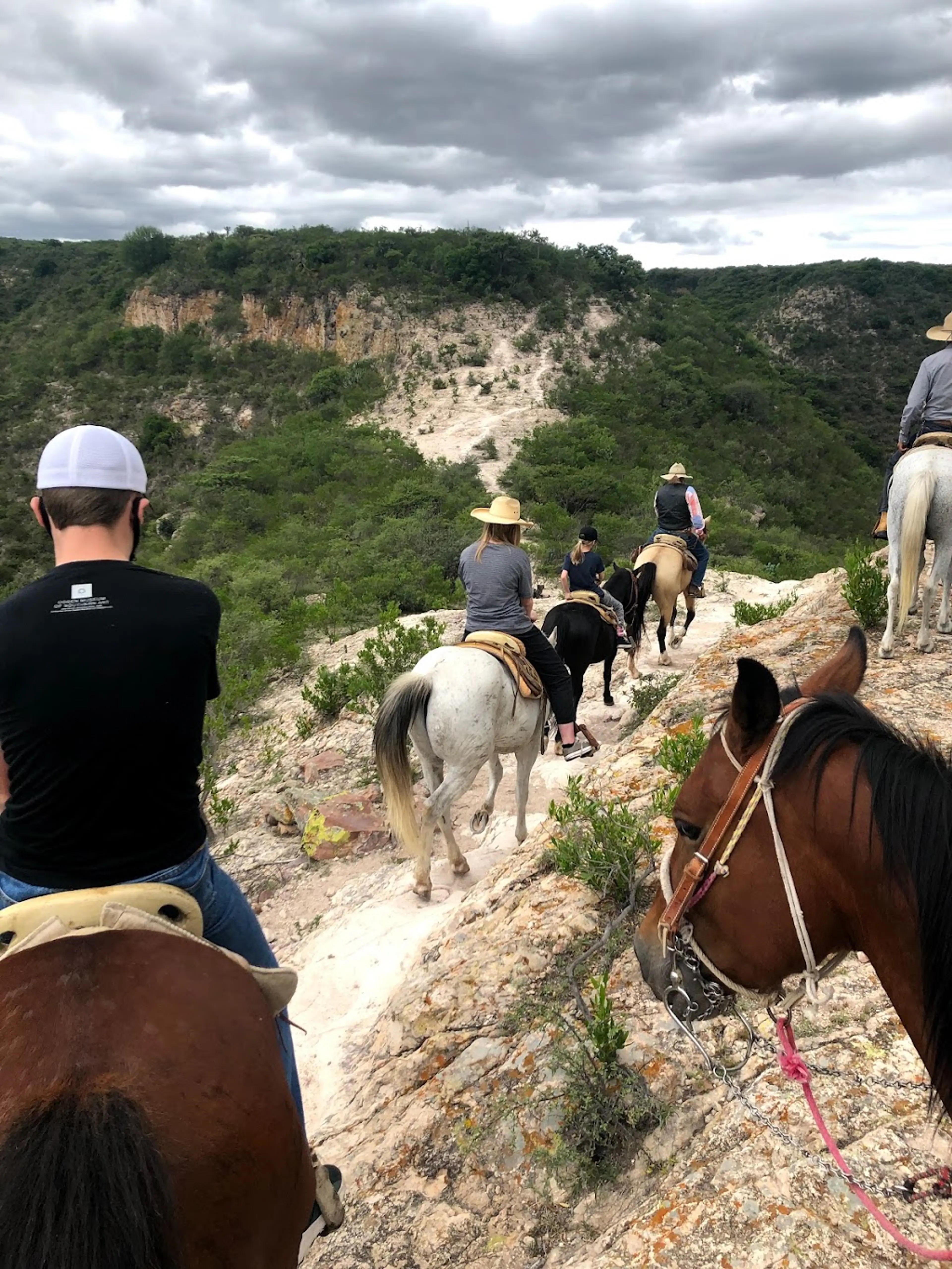 Horseback riding tour