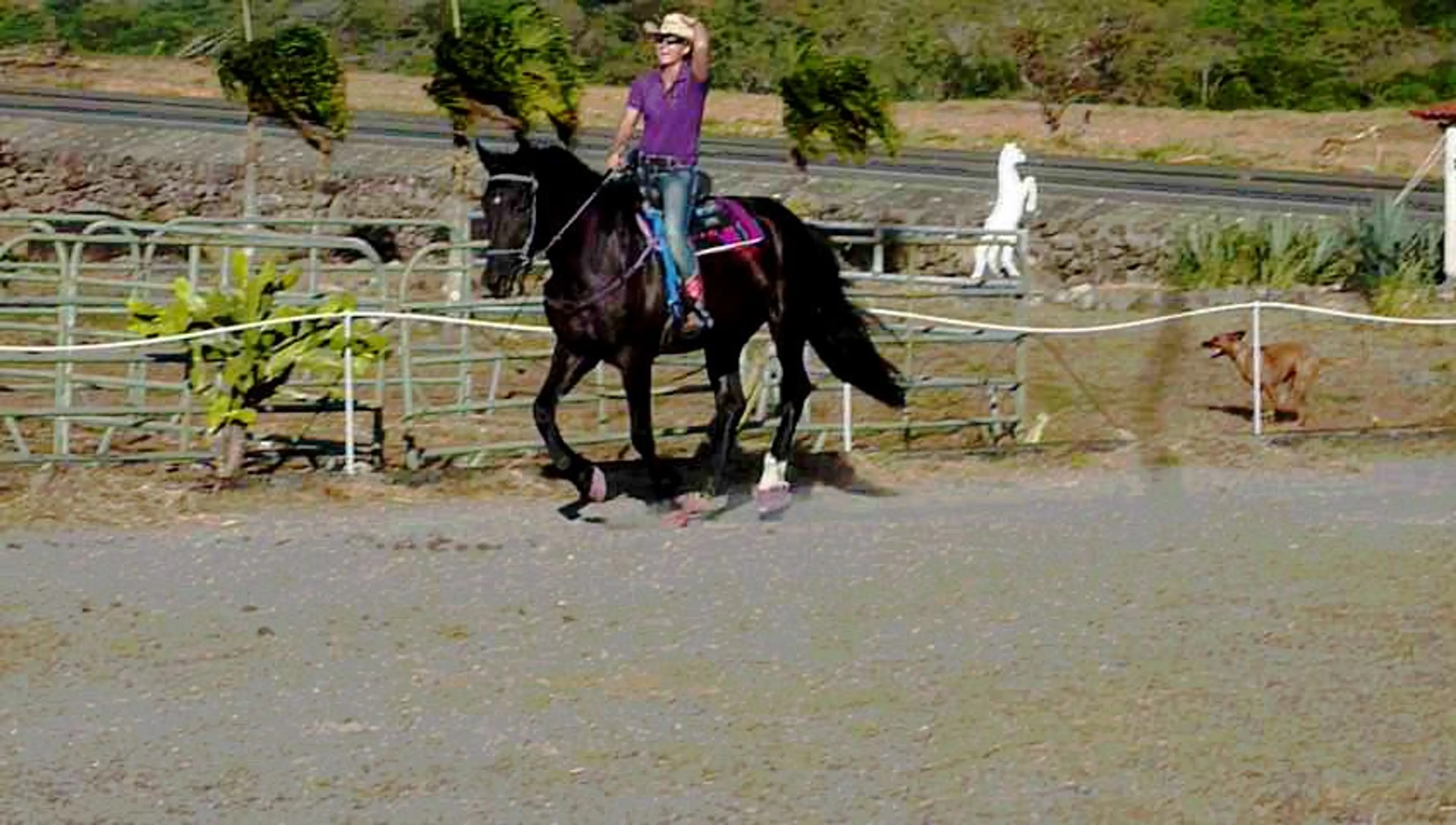 Boquete Countryside Horseback Riding