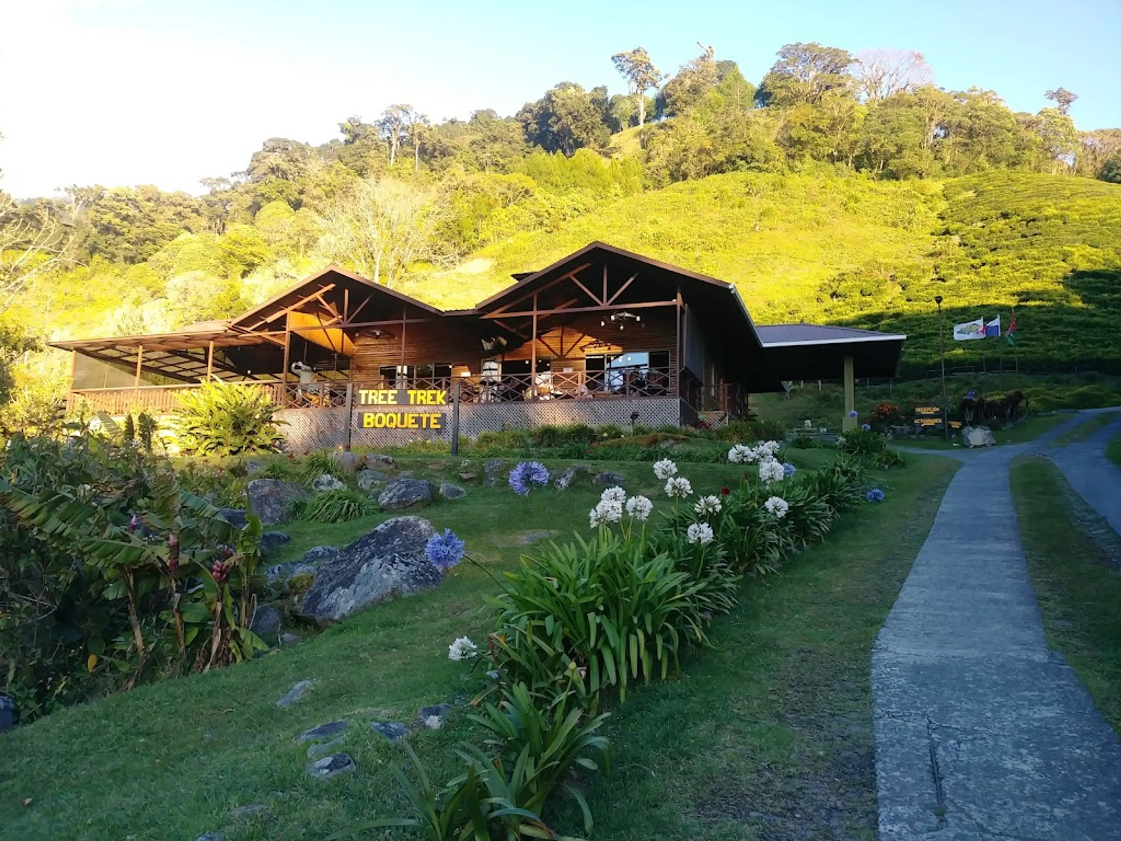 Boquete Tree Trek