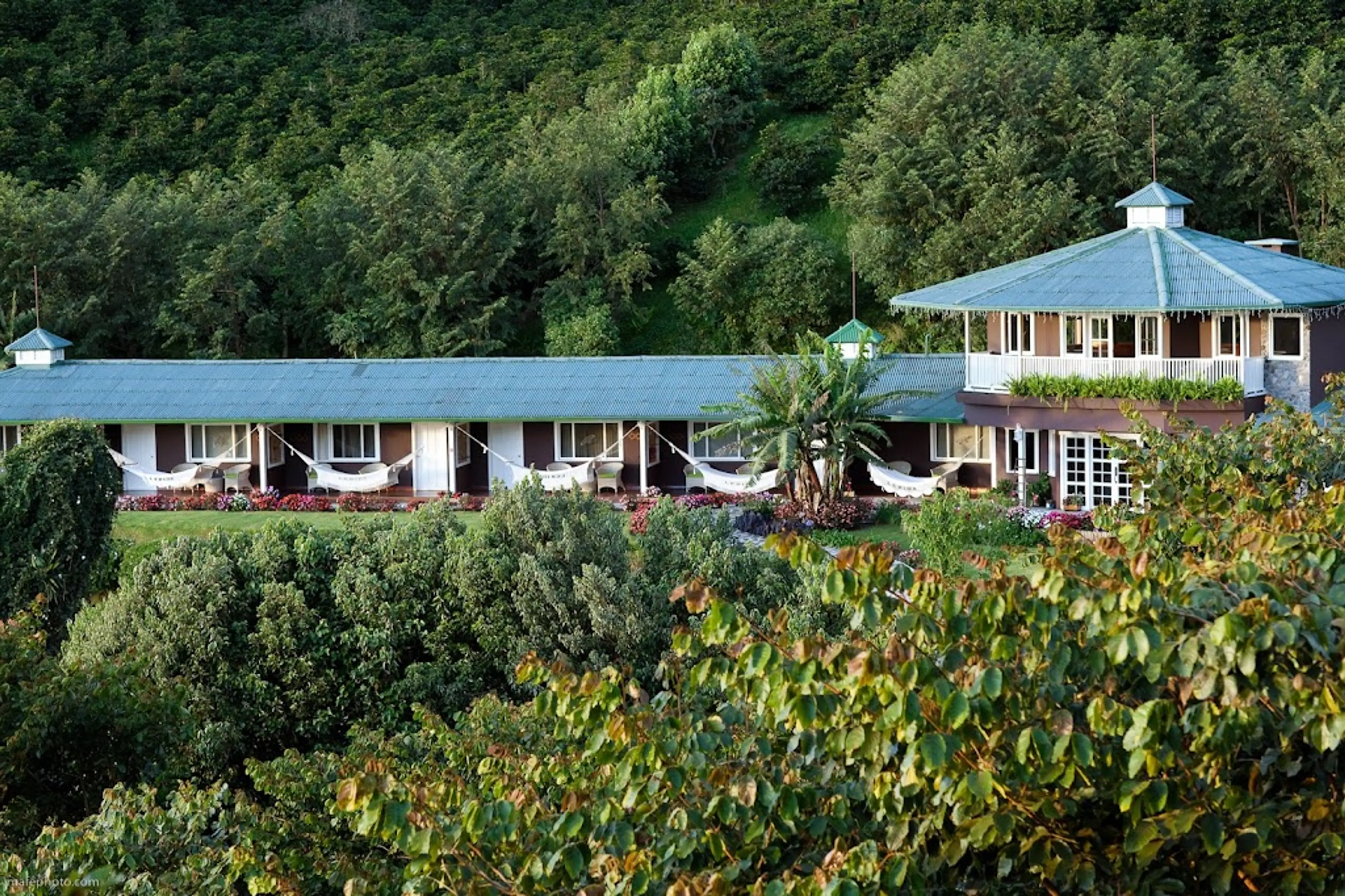 Finca Lerida Coffee Estate