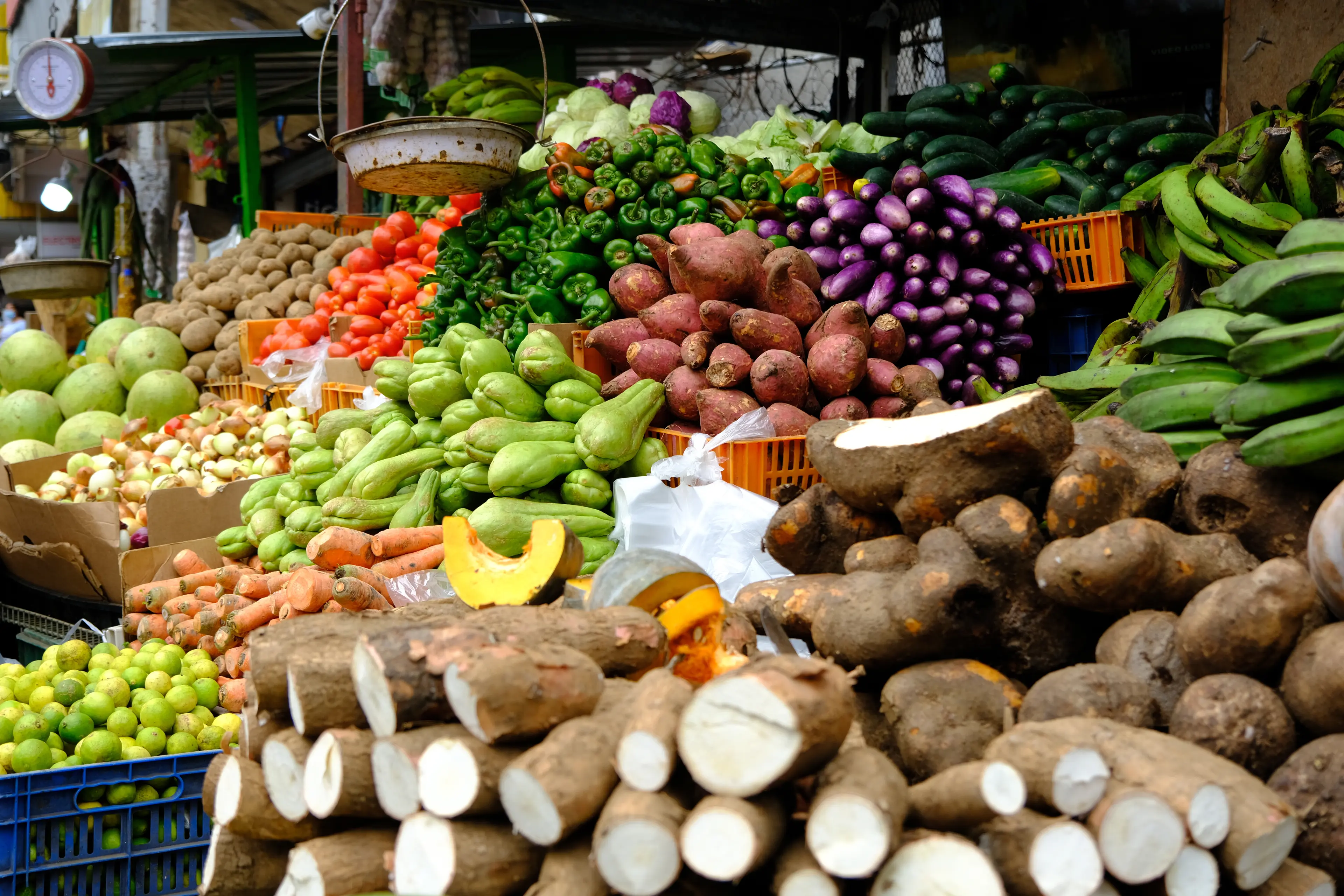 Fruit Market