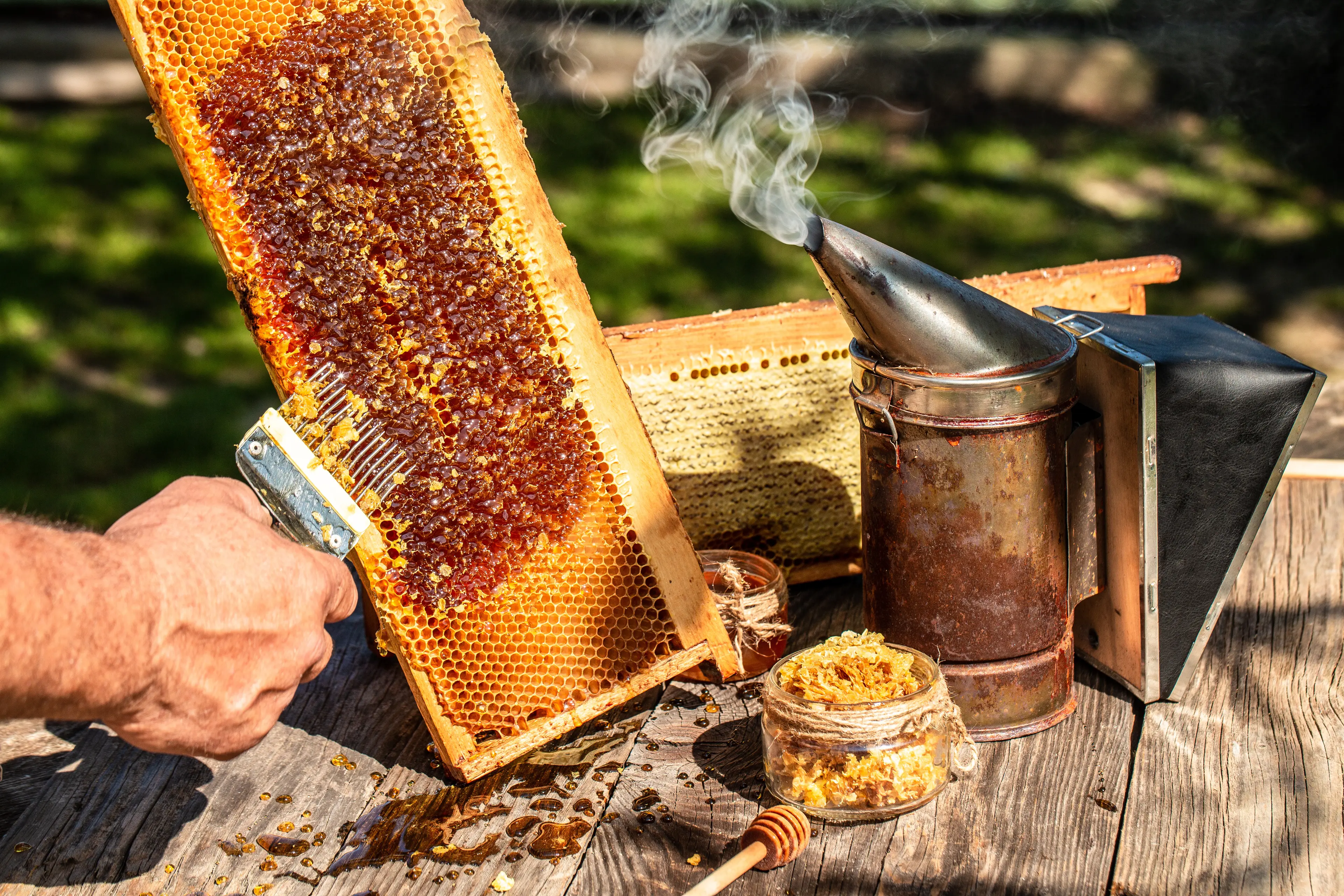 Honey Farm