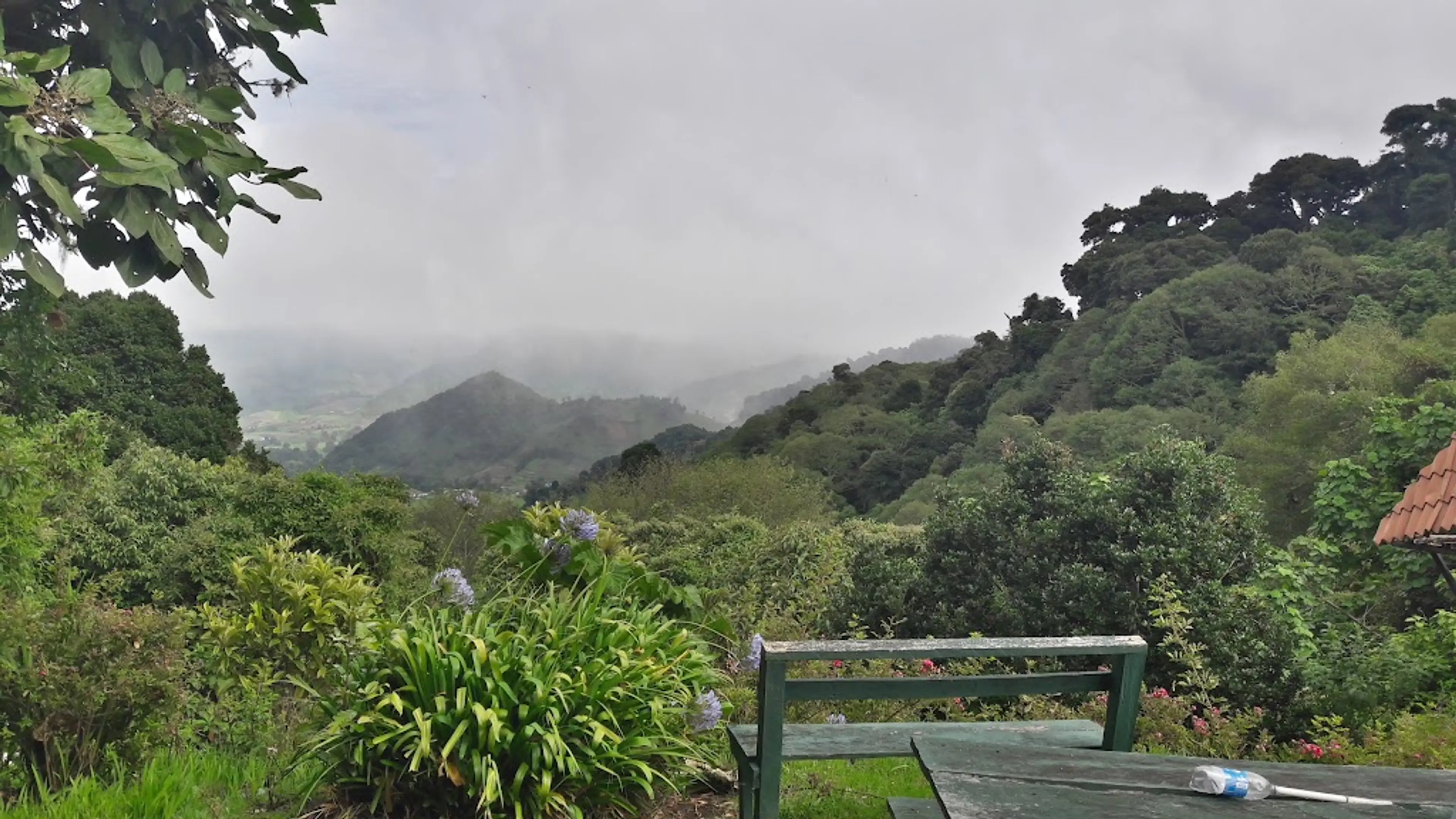 Los Quetzales Trail