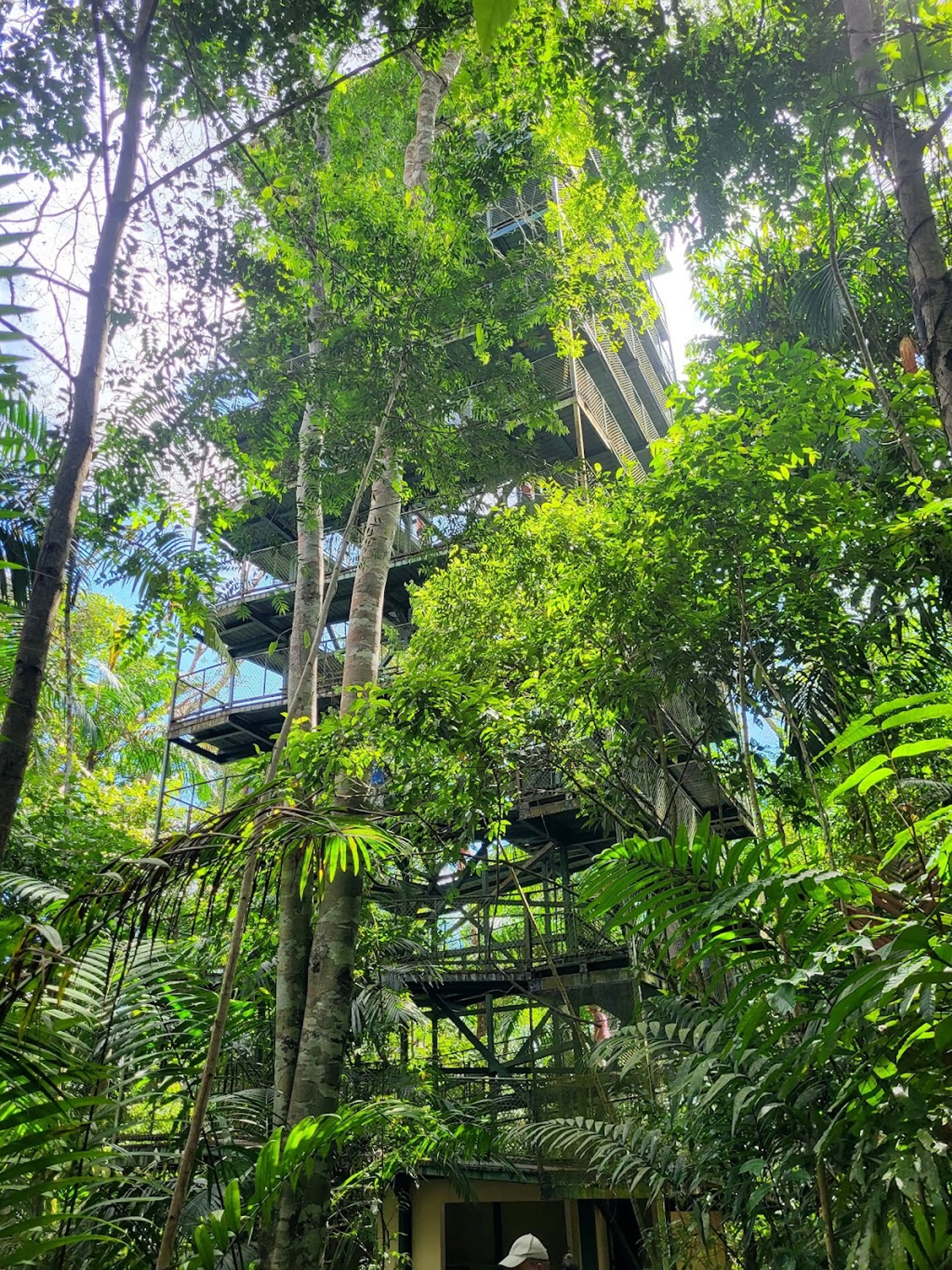 Panama Rainforest Discovery Center