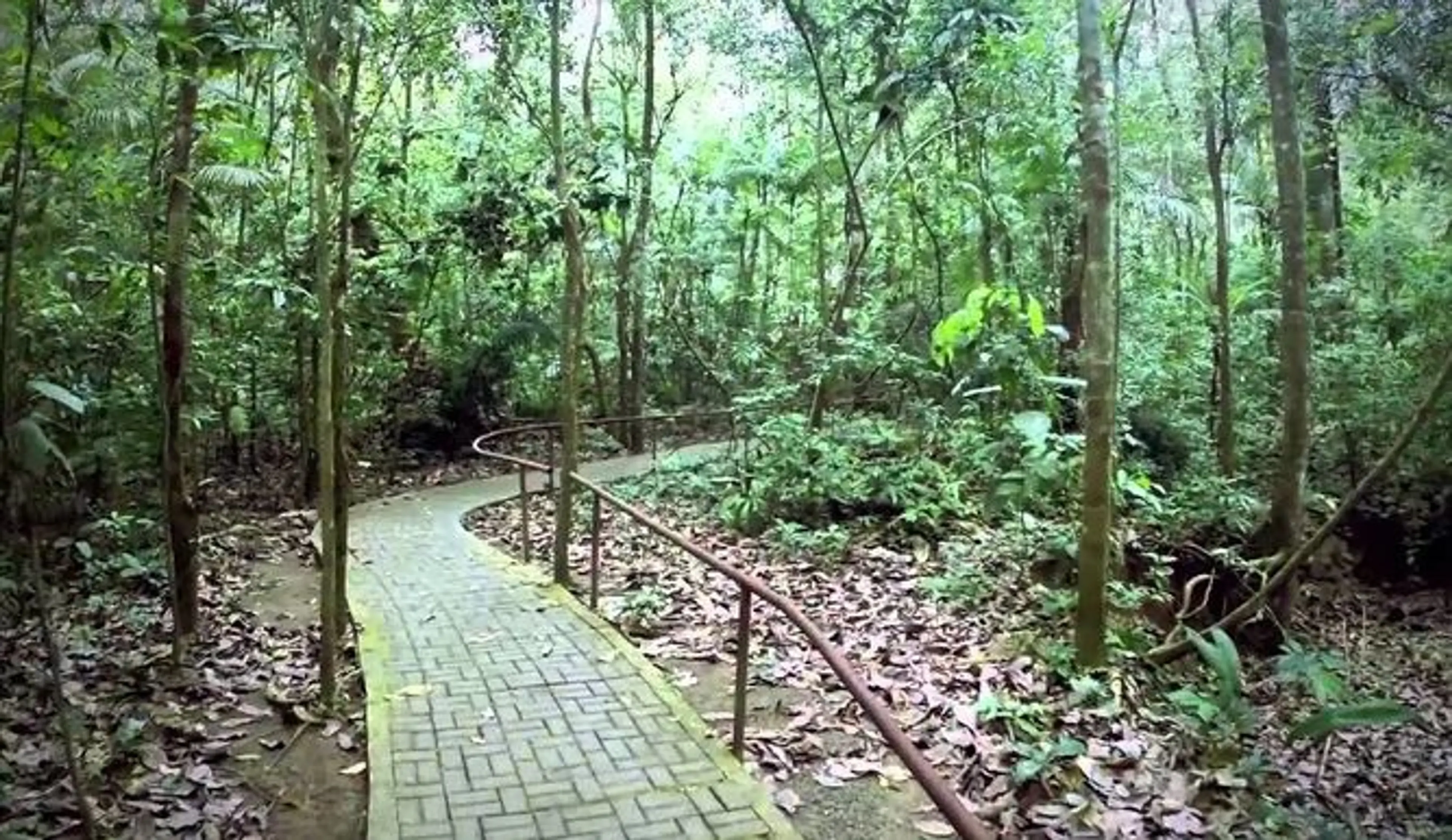 Soberania National Park