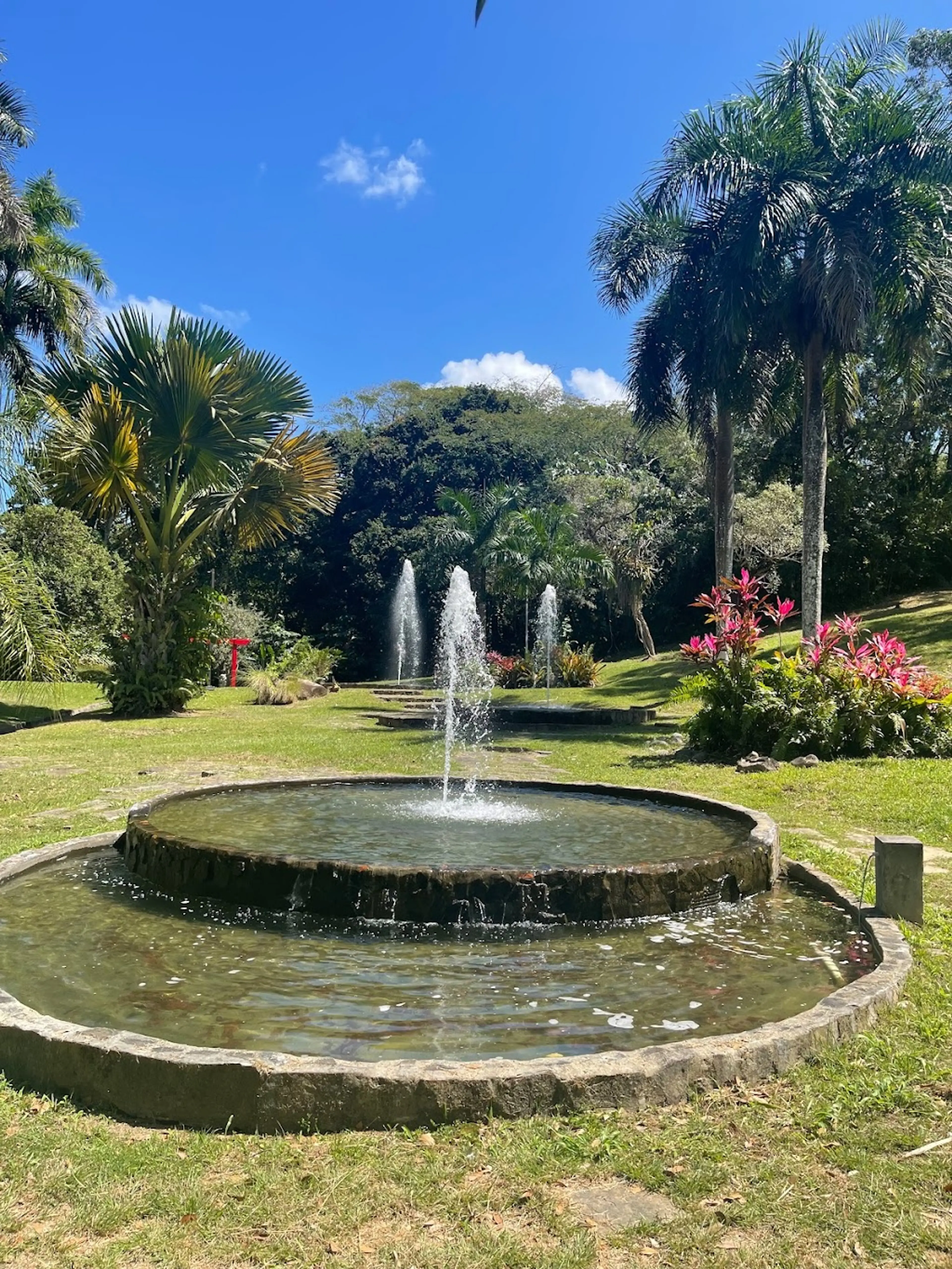 Botanical Garden in Rio Piedras