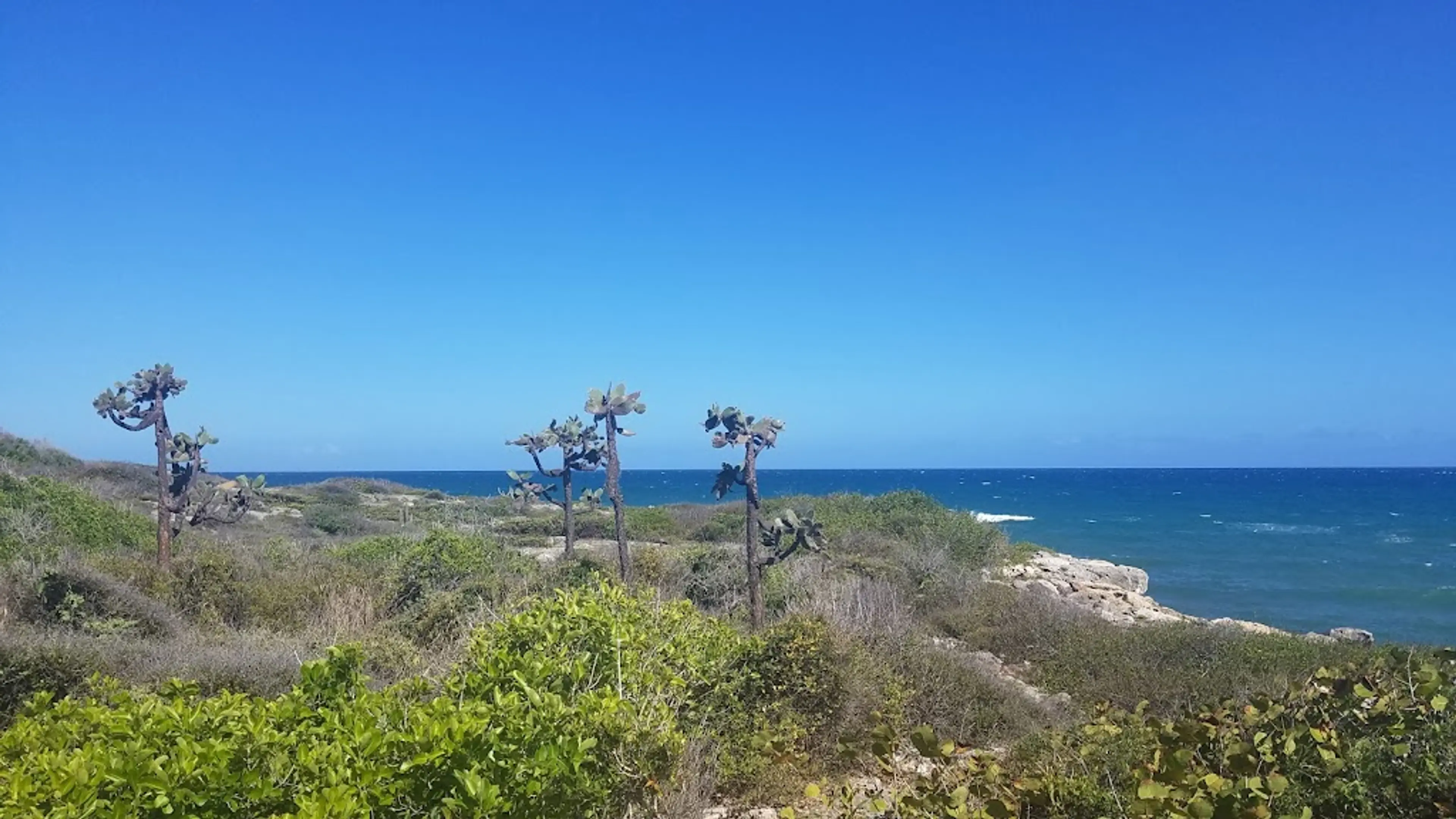 Guánica Dry Forest Reserve
