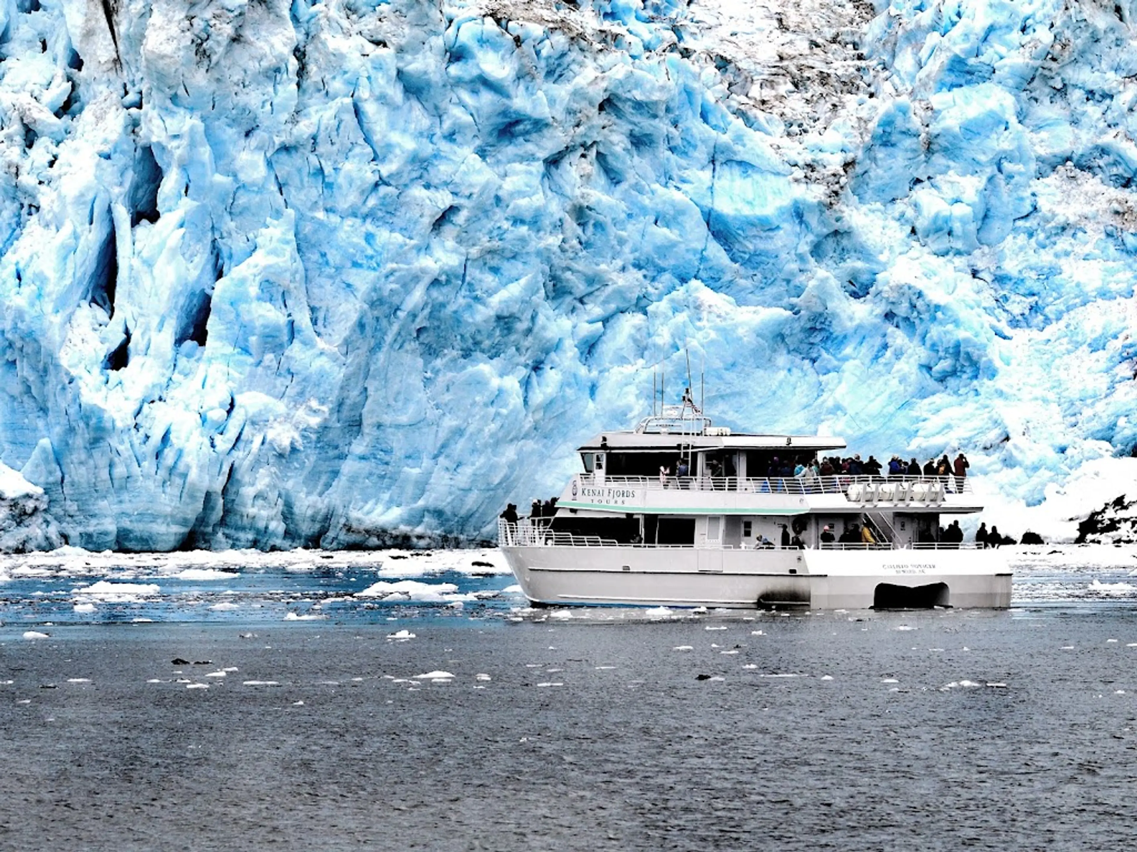 Glacier tour in Kenai Fjords National Park
