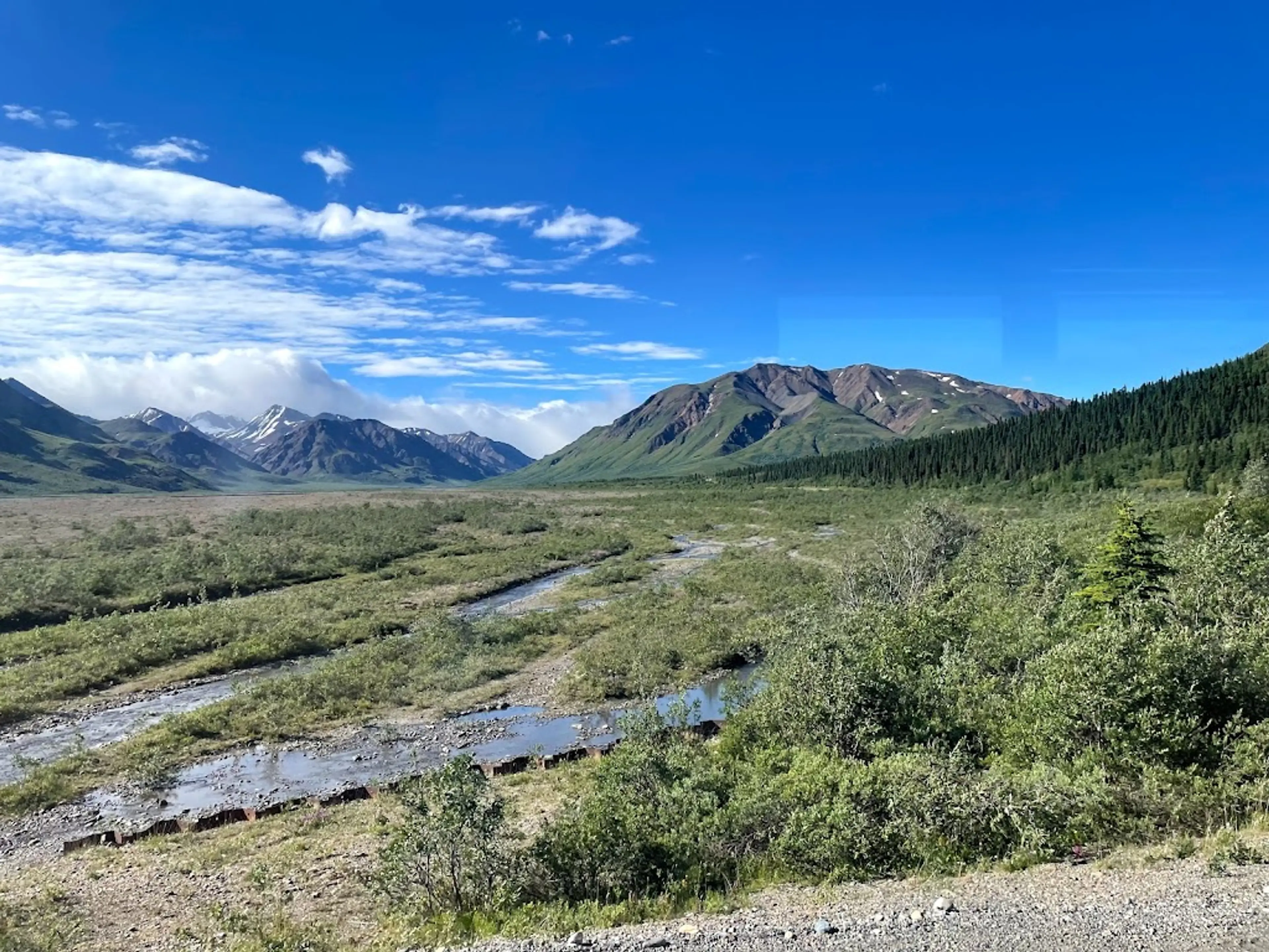 Guided tour of Denali National Park