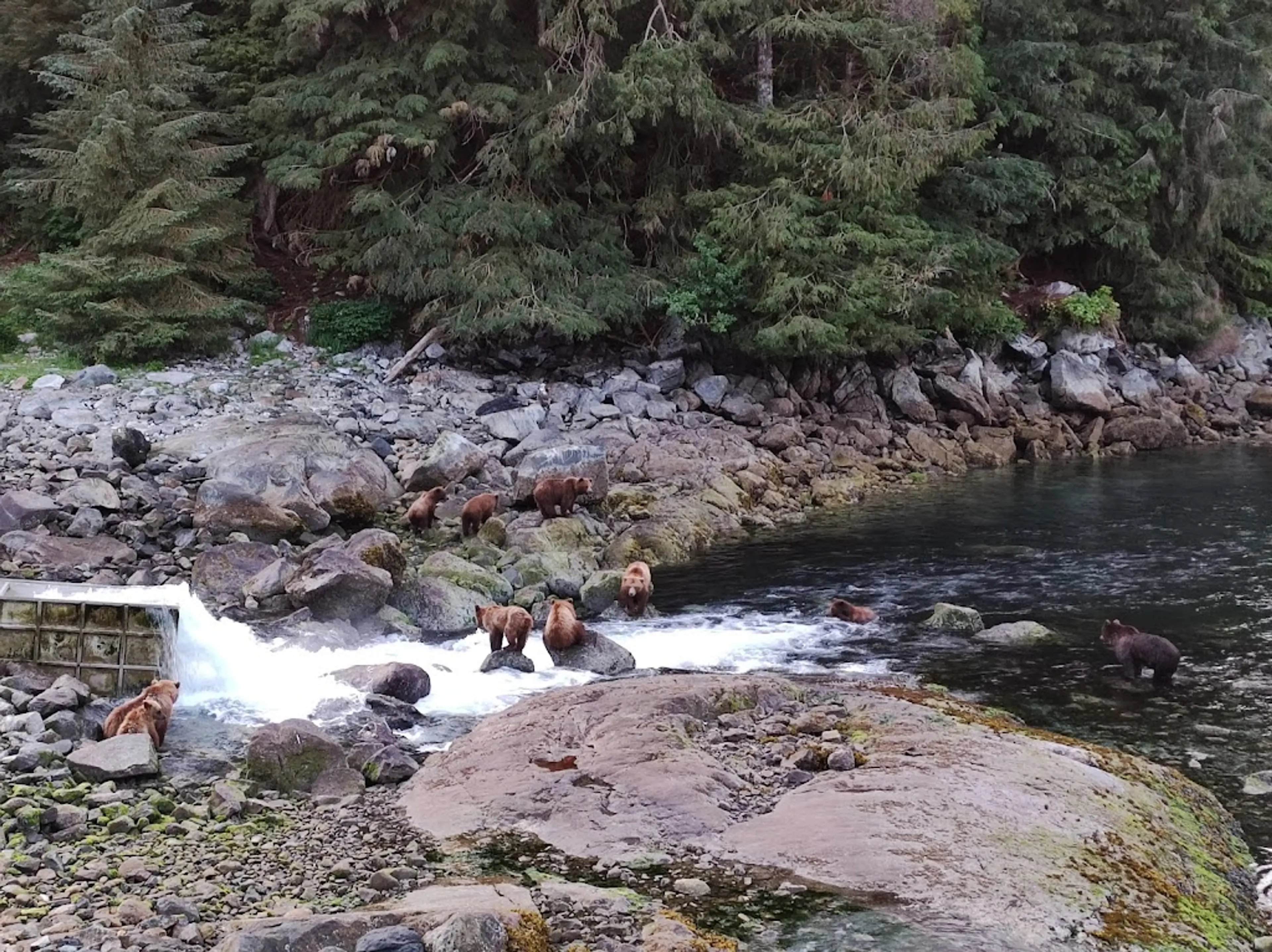 Hidden Waterfall