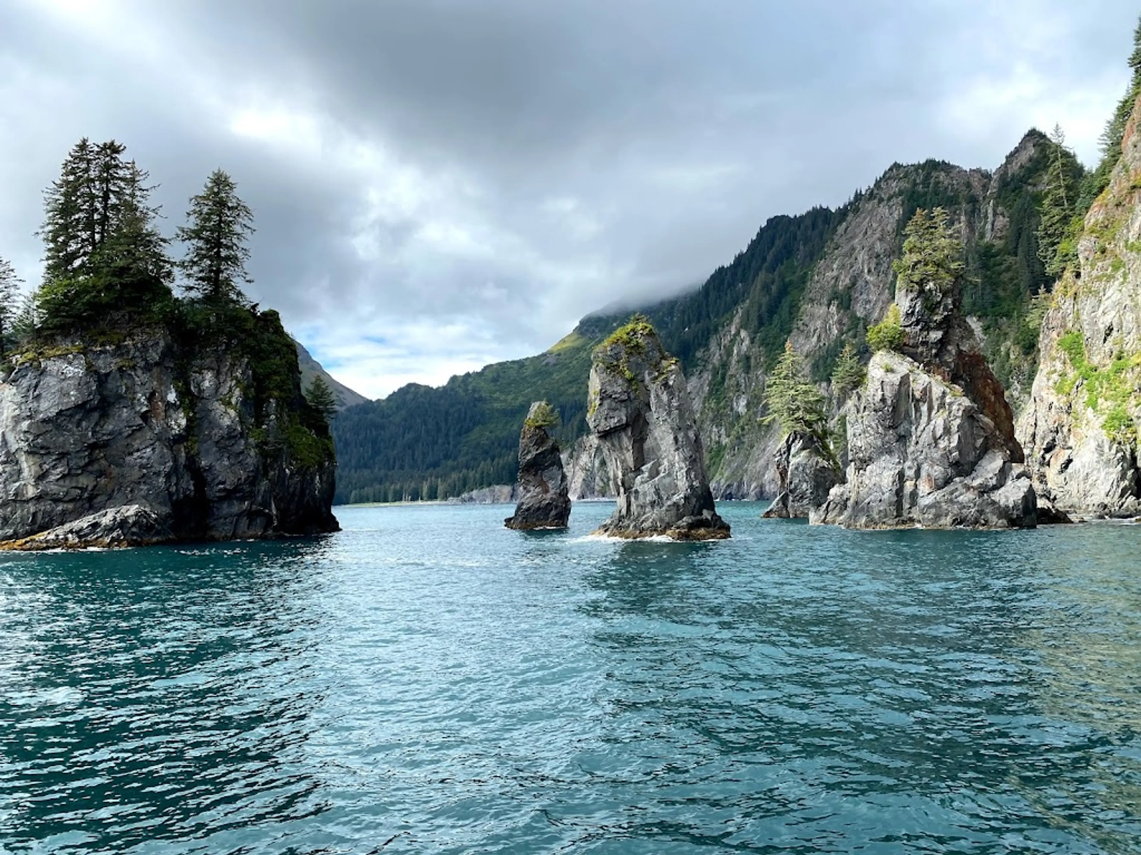 Resurrection Bay