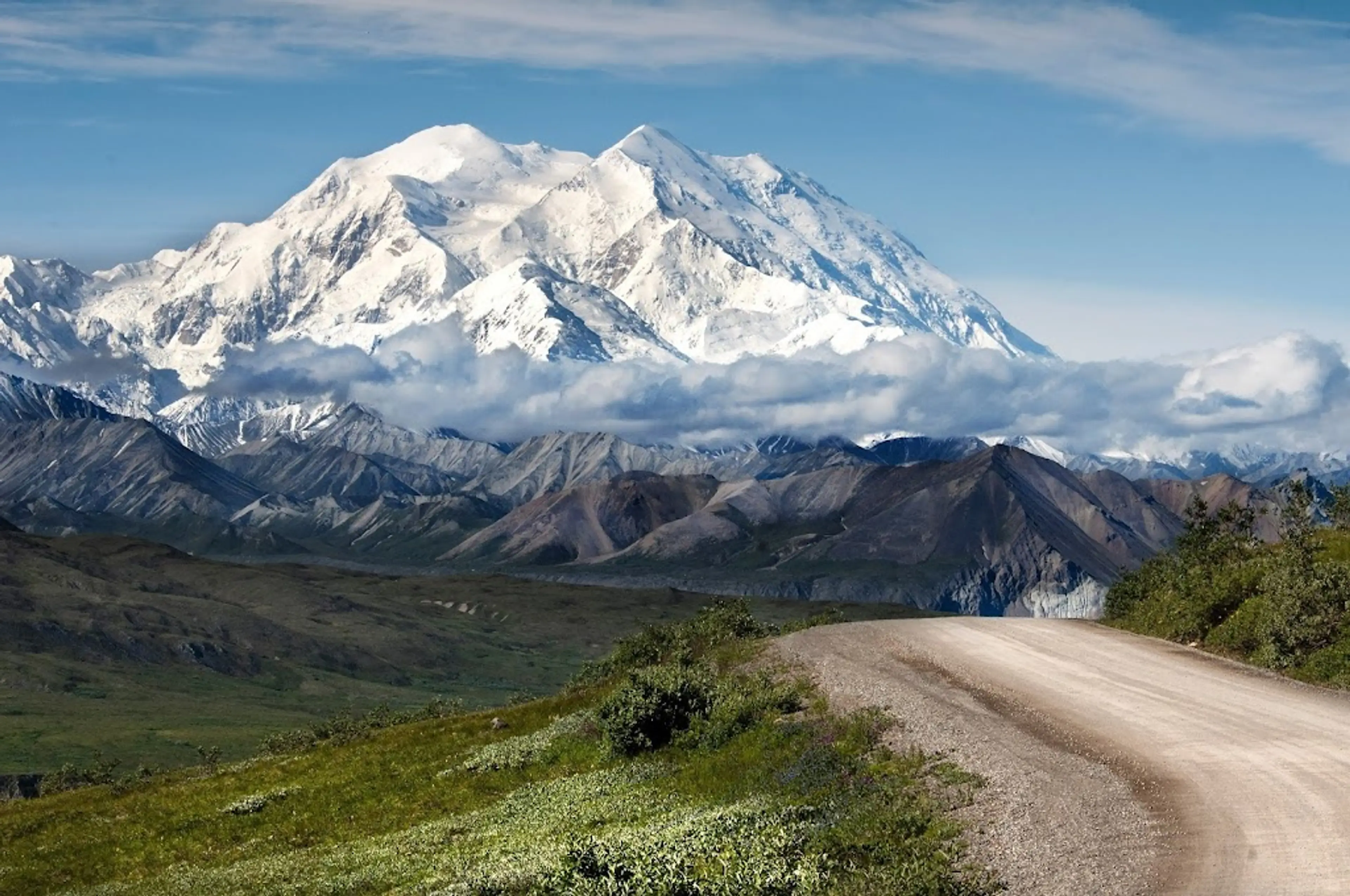 Wildlife spotting in Denali National Park