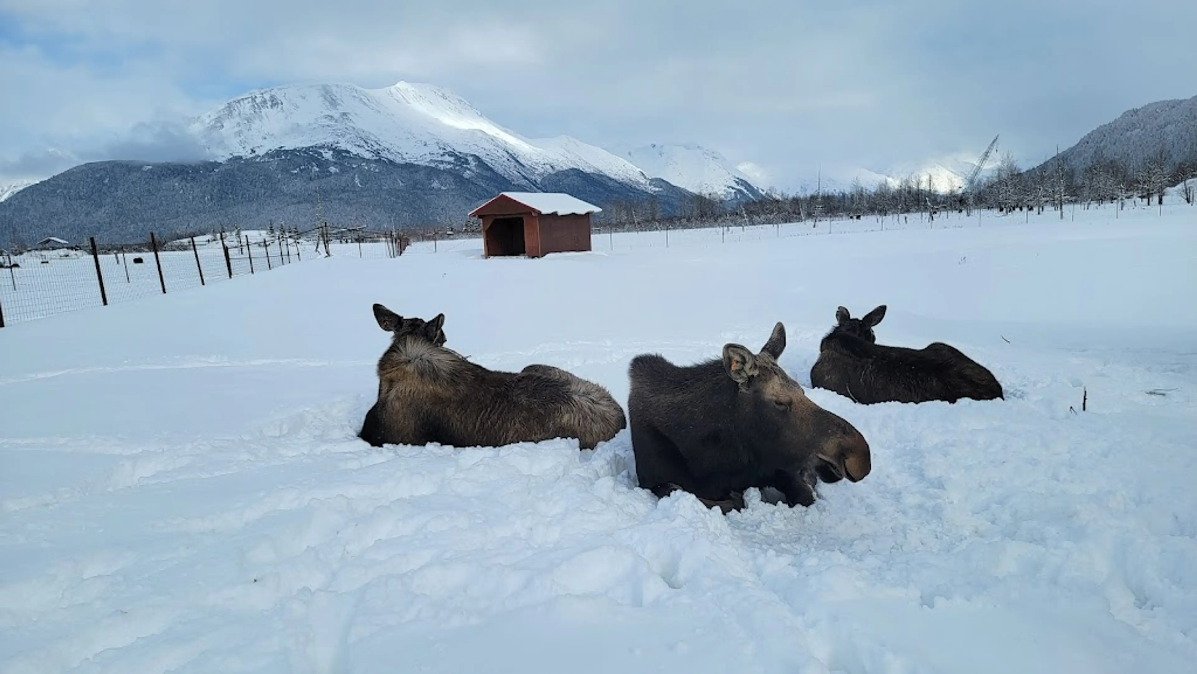 Wildlife viewing tour