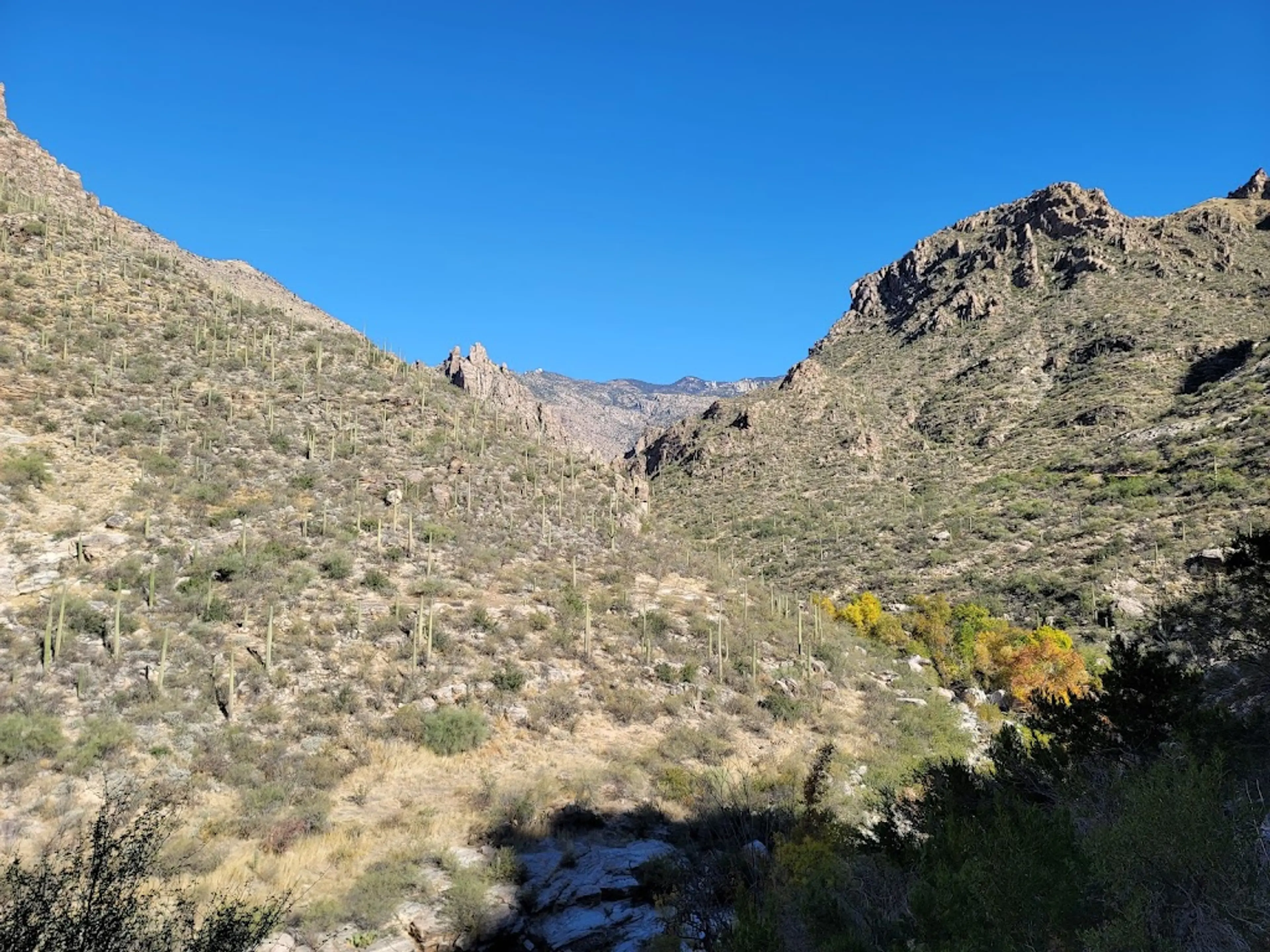 Sabino Canyon Recreation Area