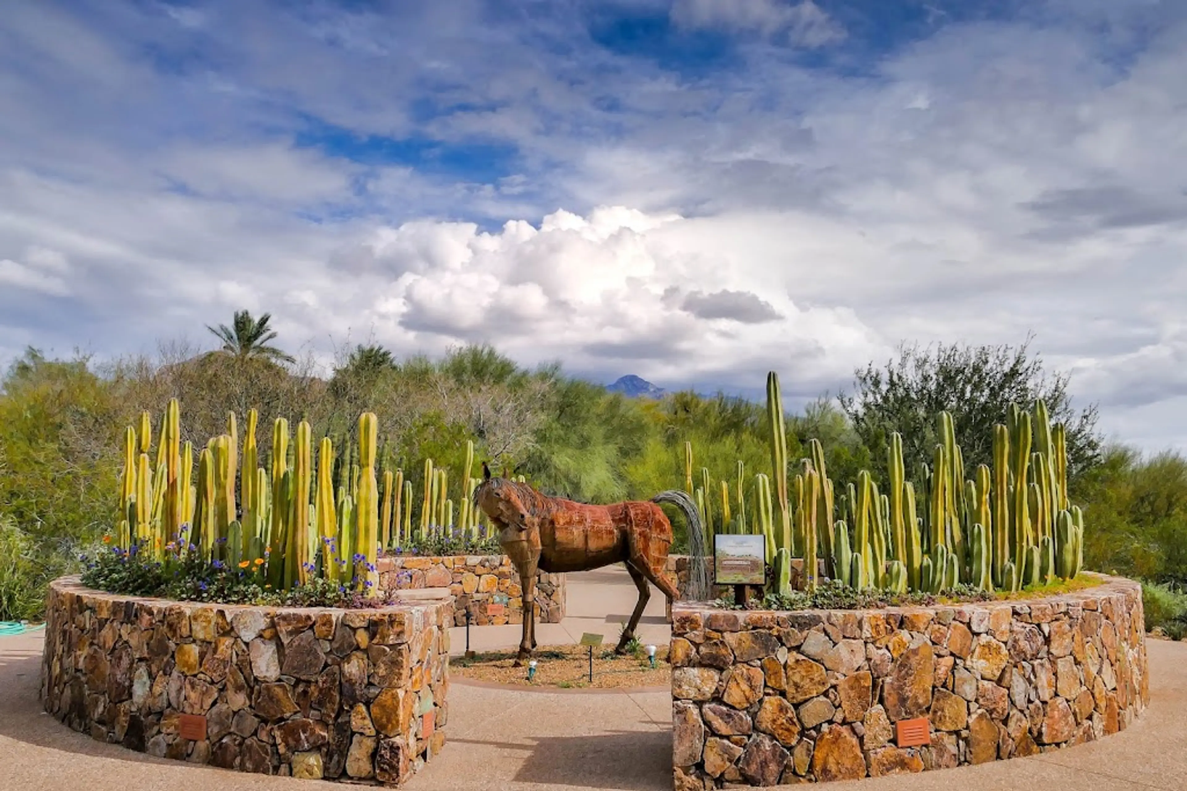 Tohono Chul Park